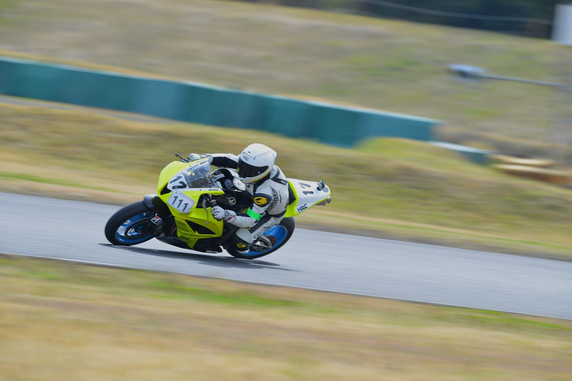 D8J_0181.JPG