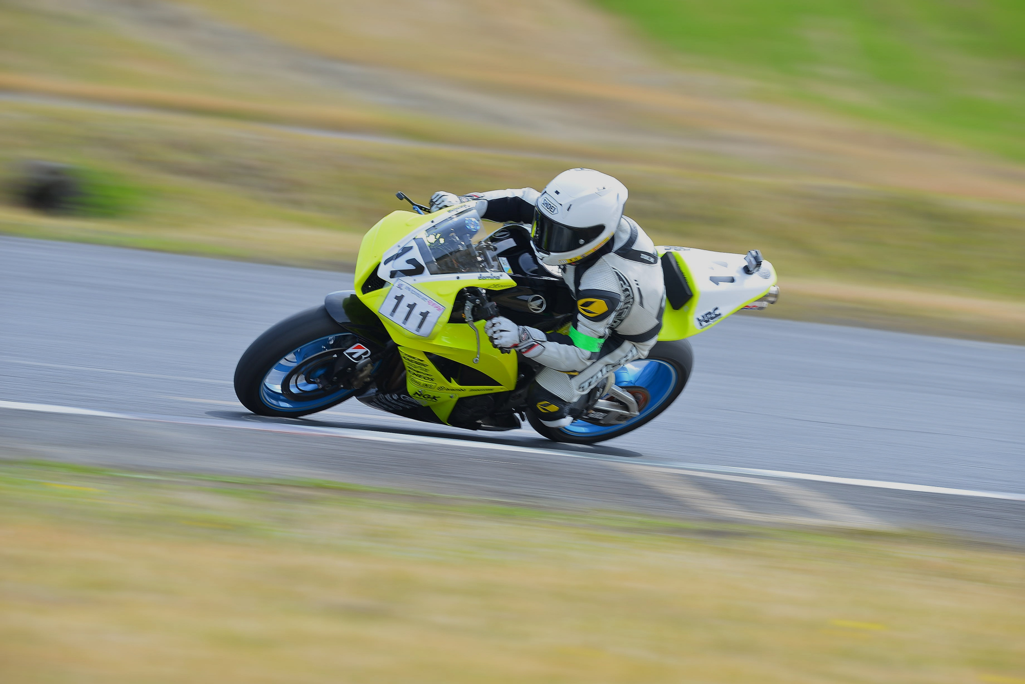 D8J_0182.JPG
