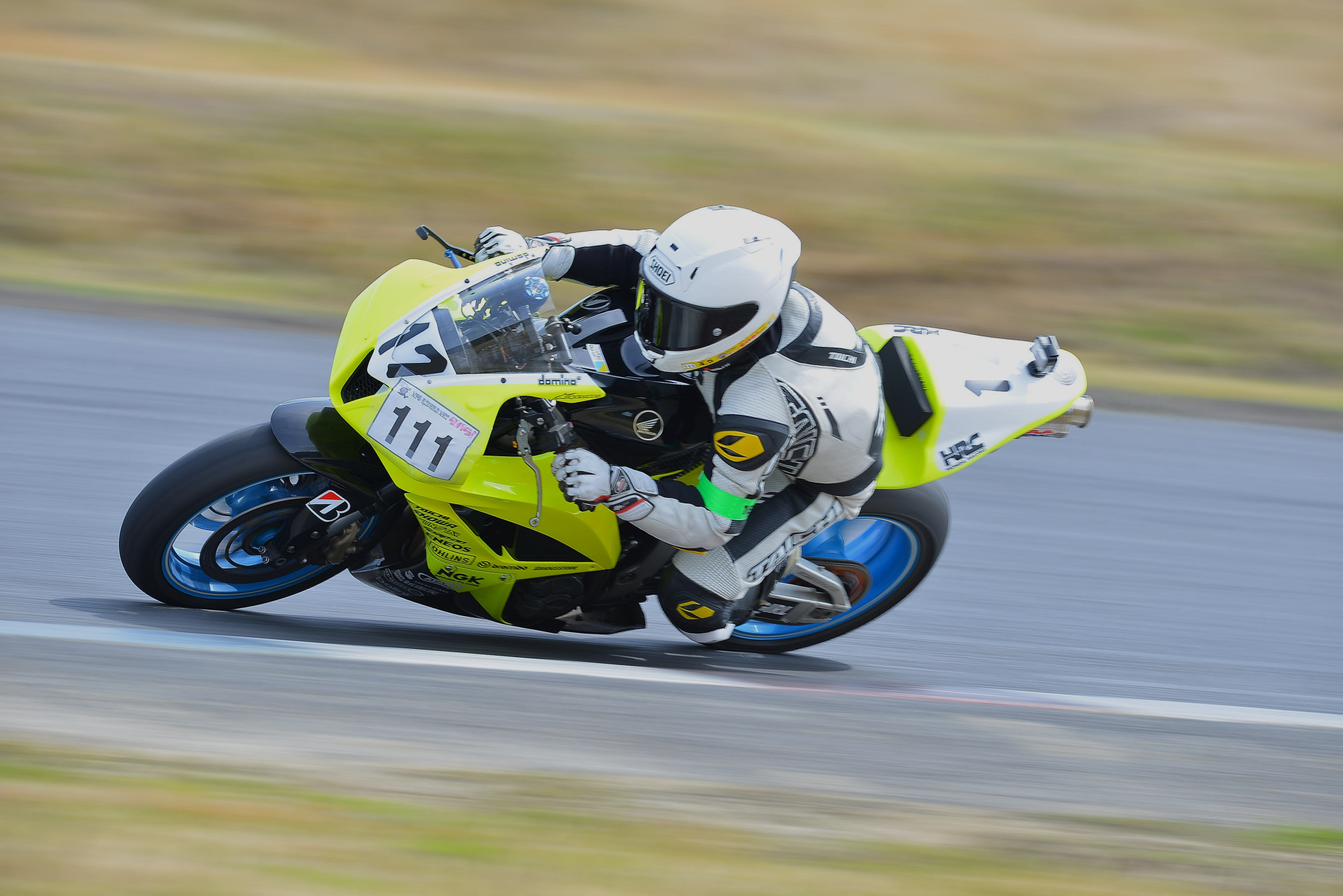 D8J_0183.JPG
