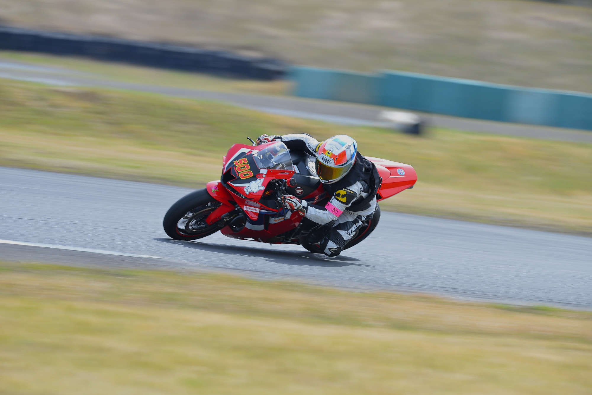 D8J_0184.JPG