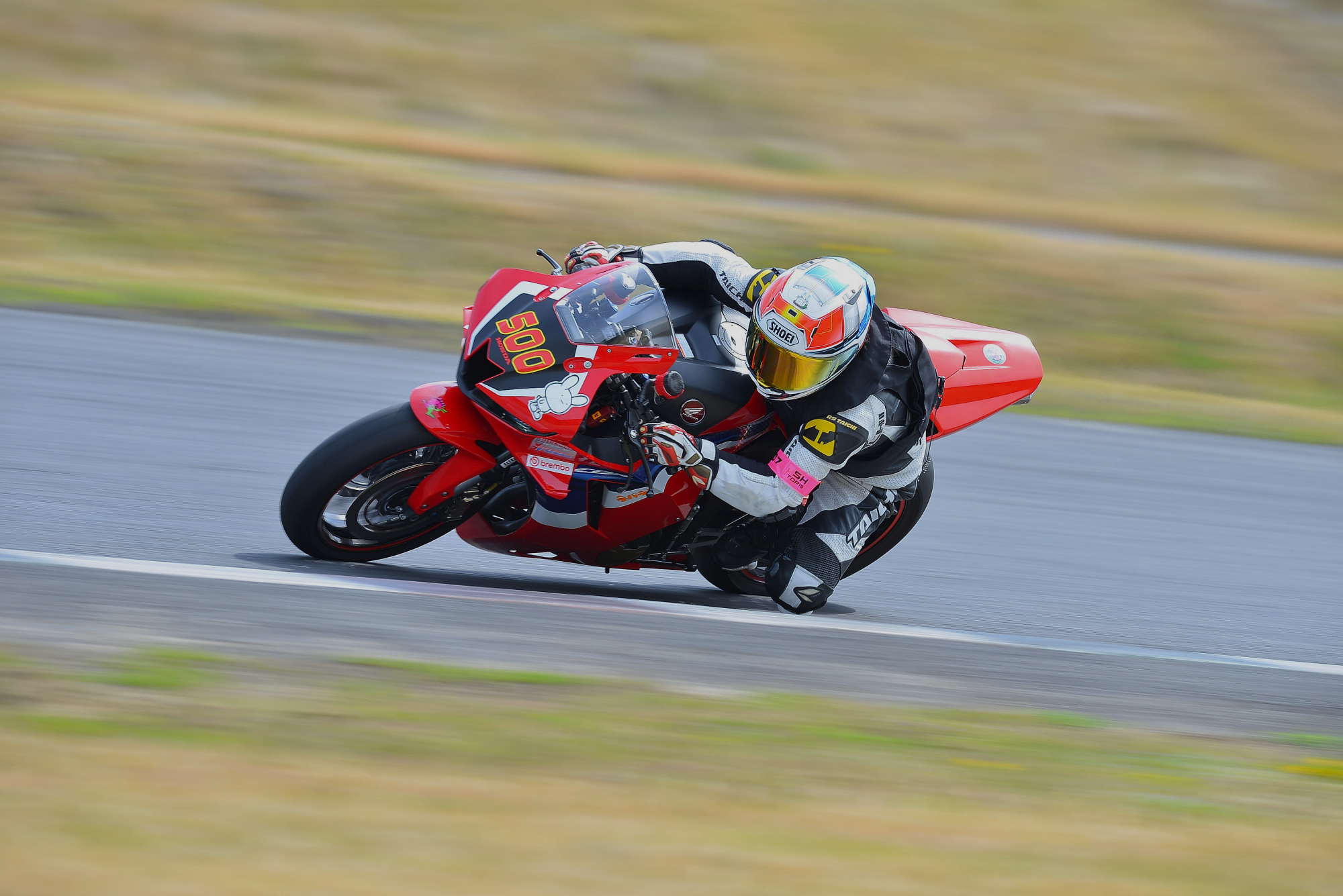 D8J_0185.JPG