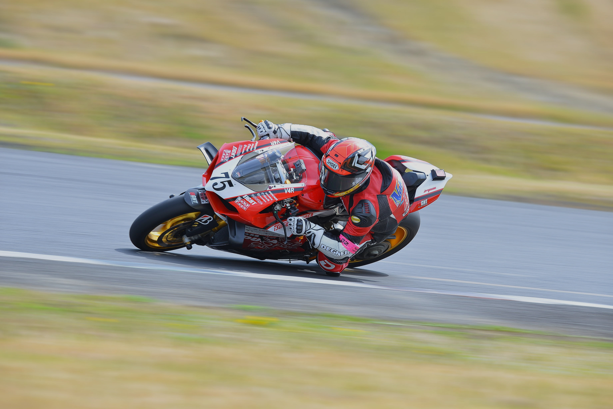 D8J_0191.JPG
