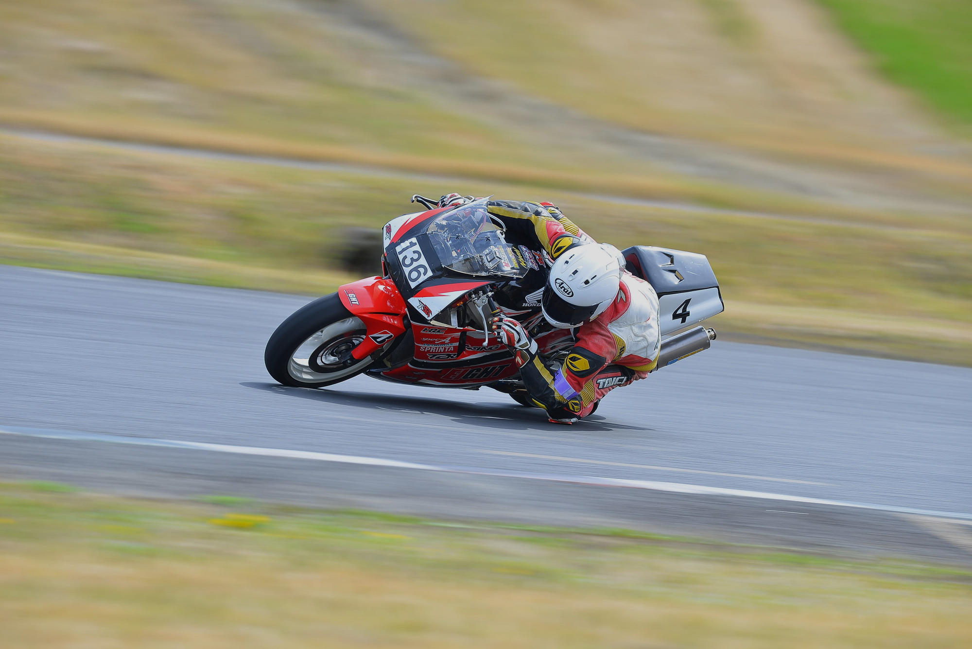 D8J_0193.JPG