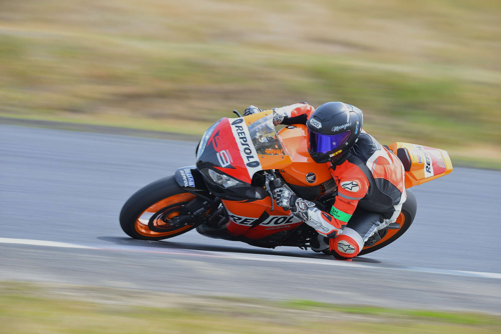 D8J_0197.JPG