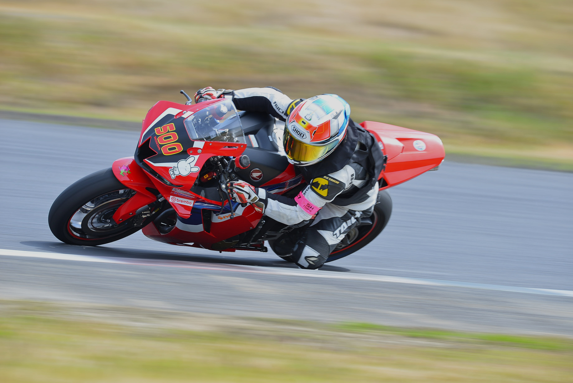 D8J_0200.JPG