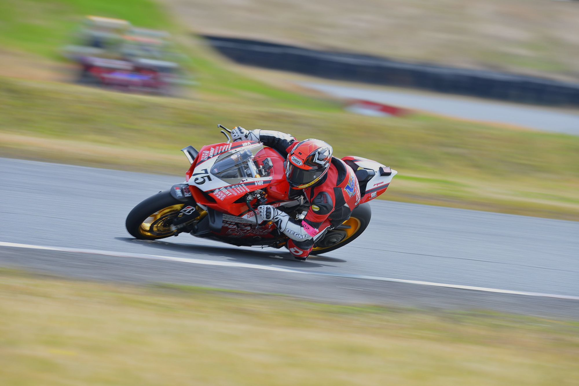 D8J_0205.JPG