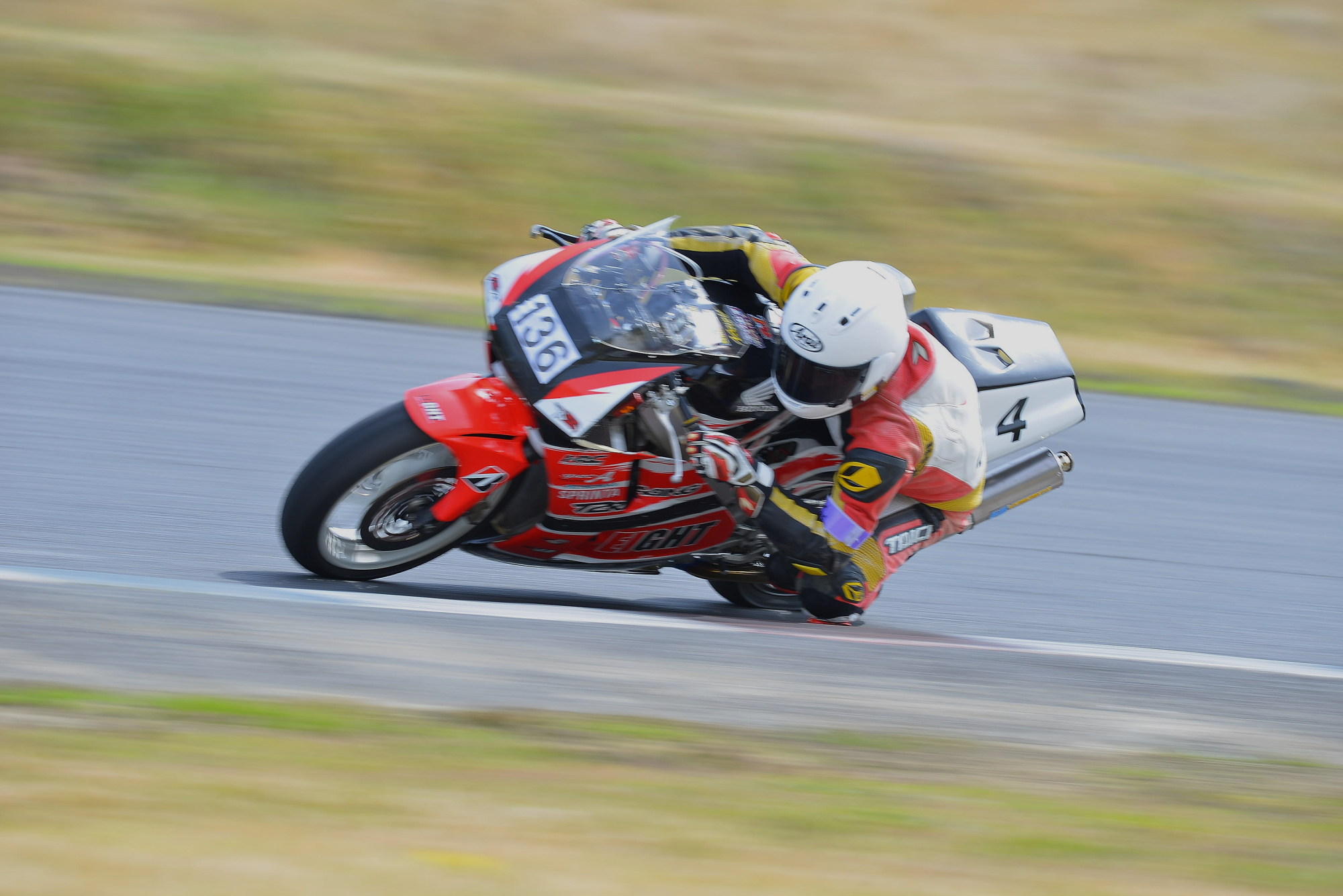D8J_0210.JPG