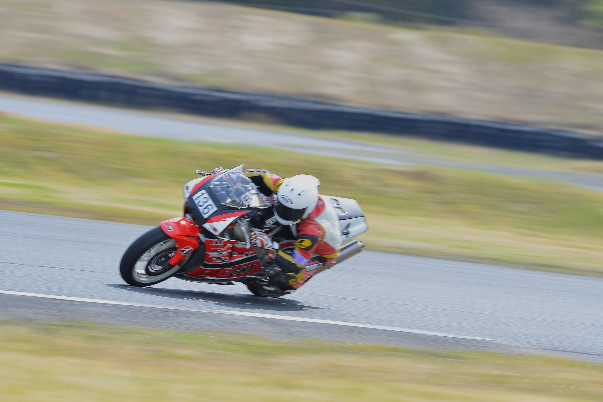 D8J_0226.JPG