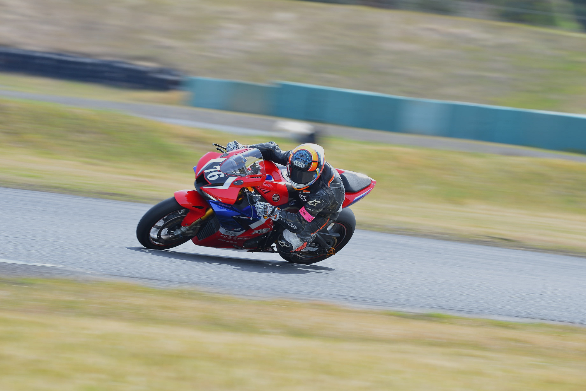 D8J_0229.JPG