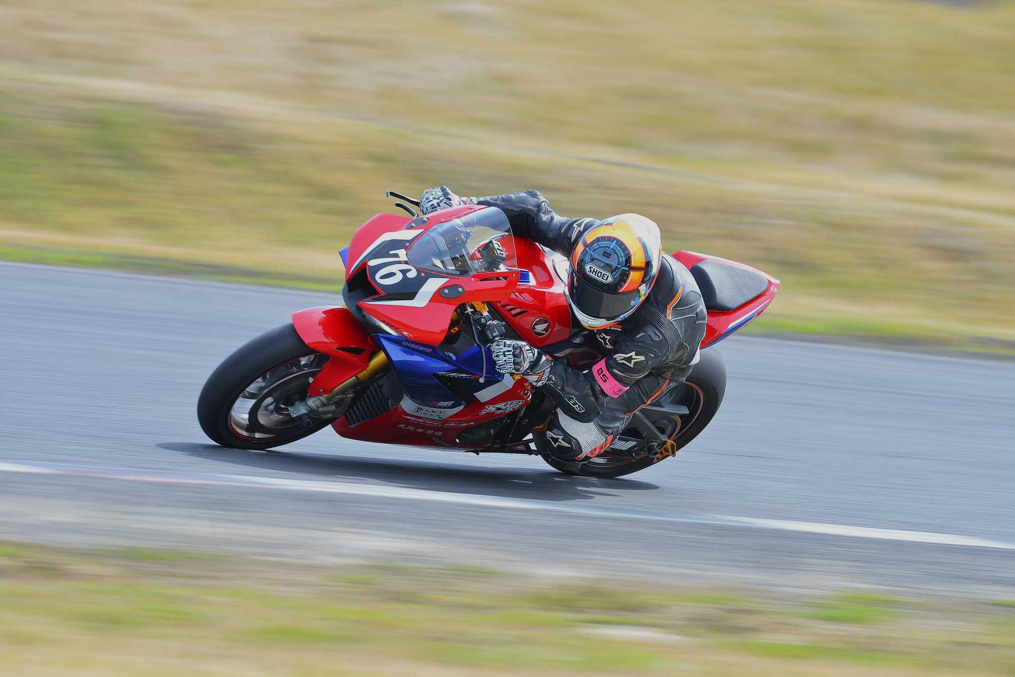 D8J_0230.JPG