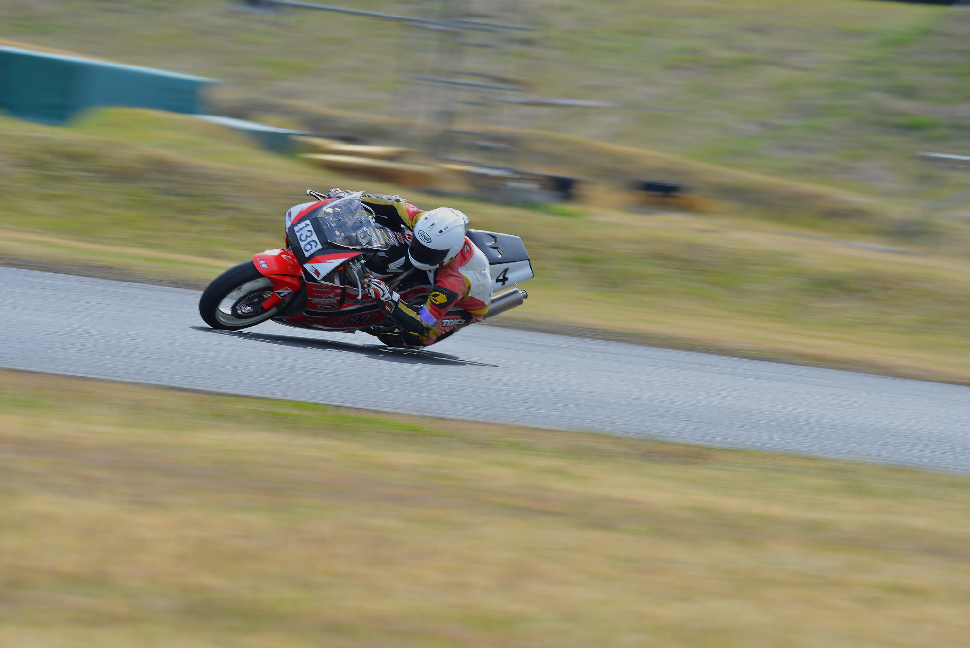 D8J_0233.JPG