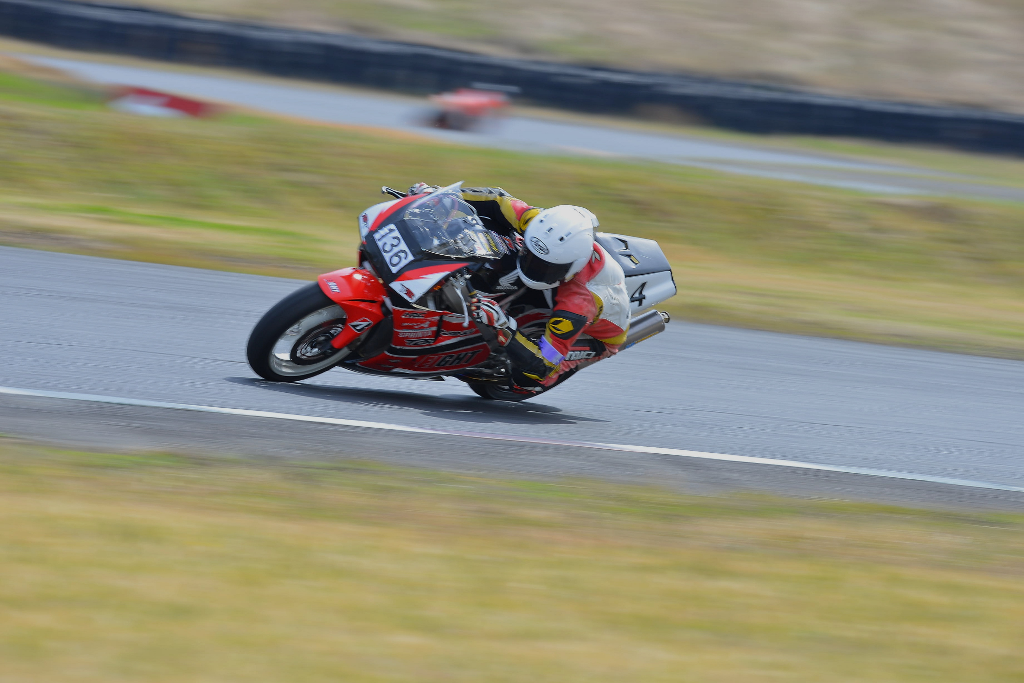 D8J_0234.JPG