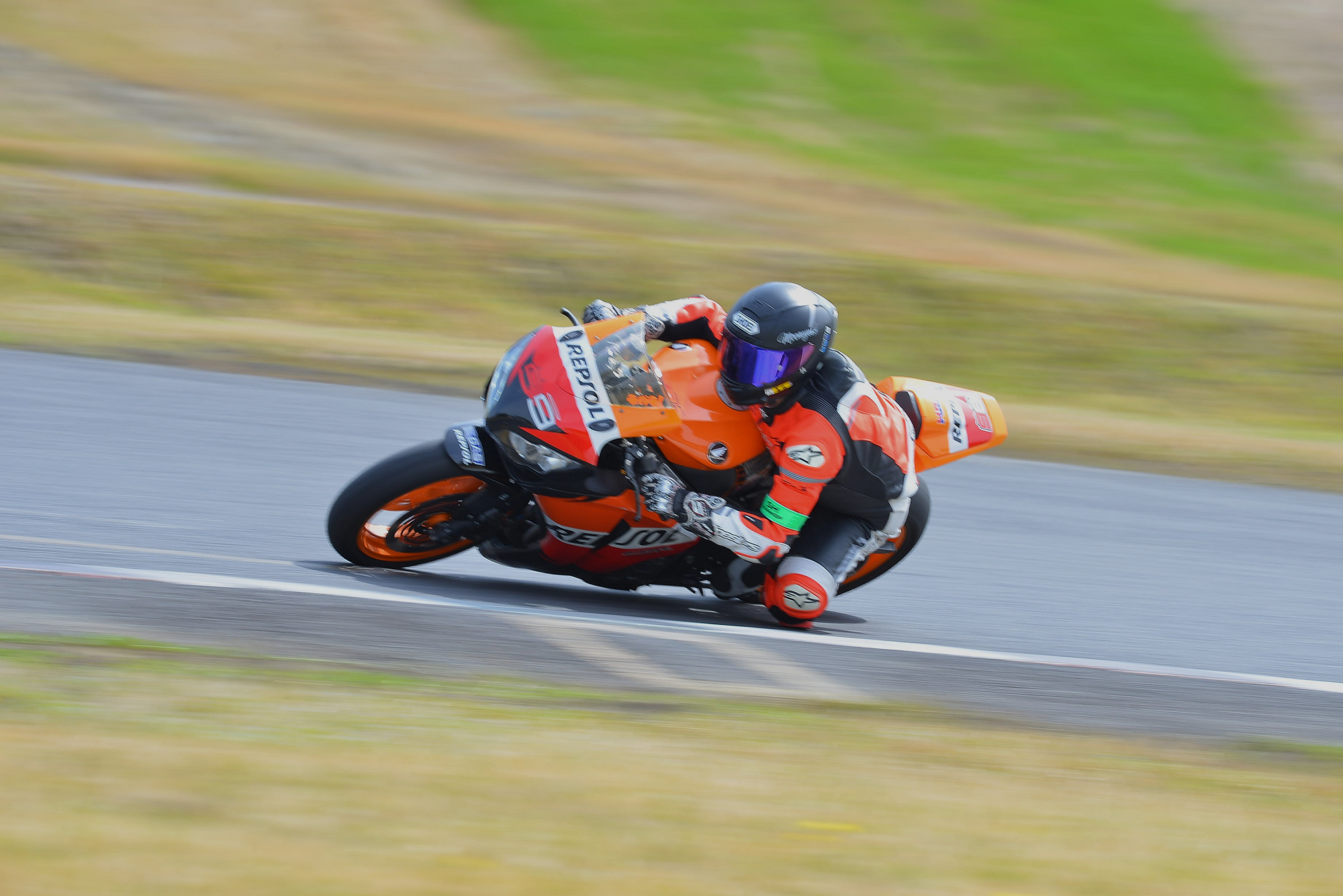 D8J_0237.JPG
