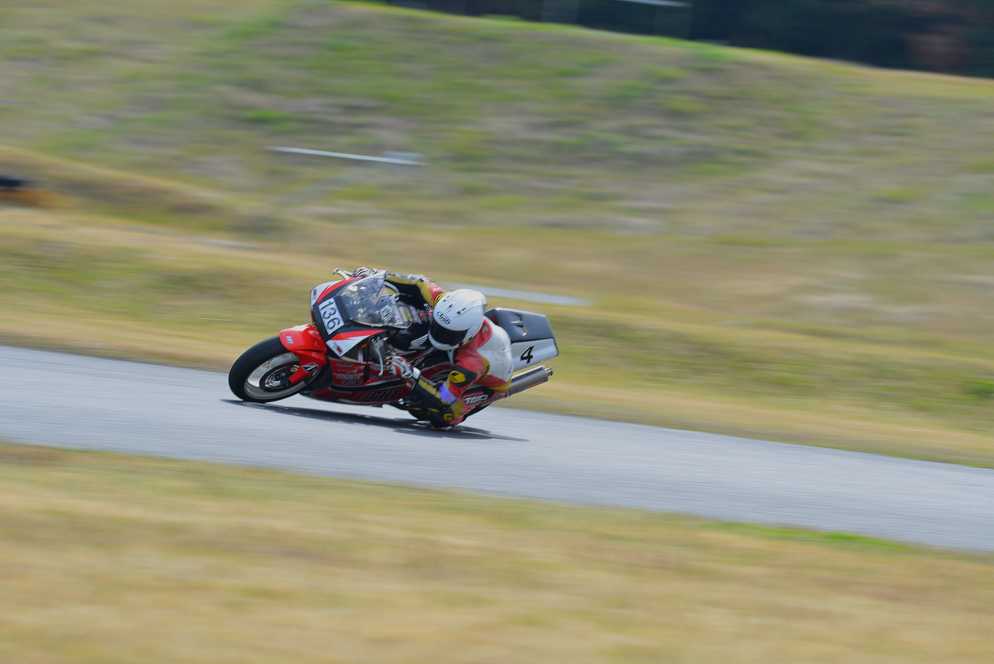 D8J_0239.JPG