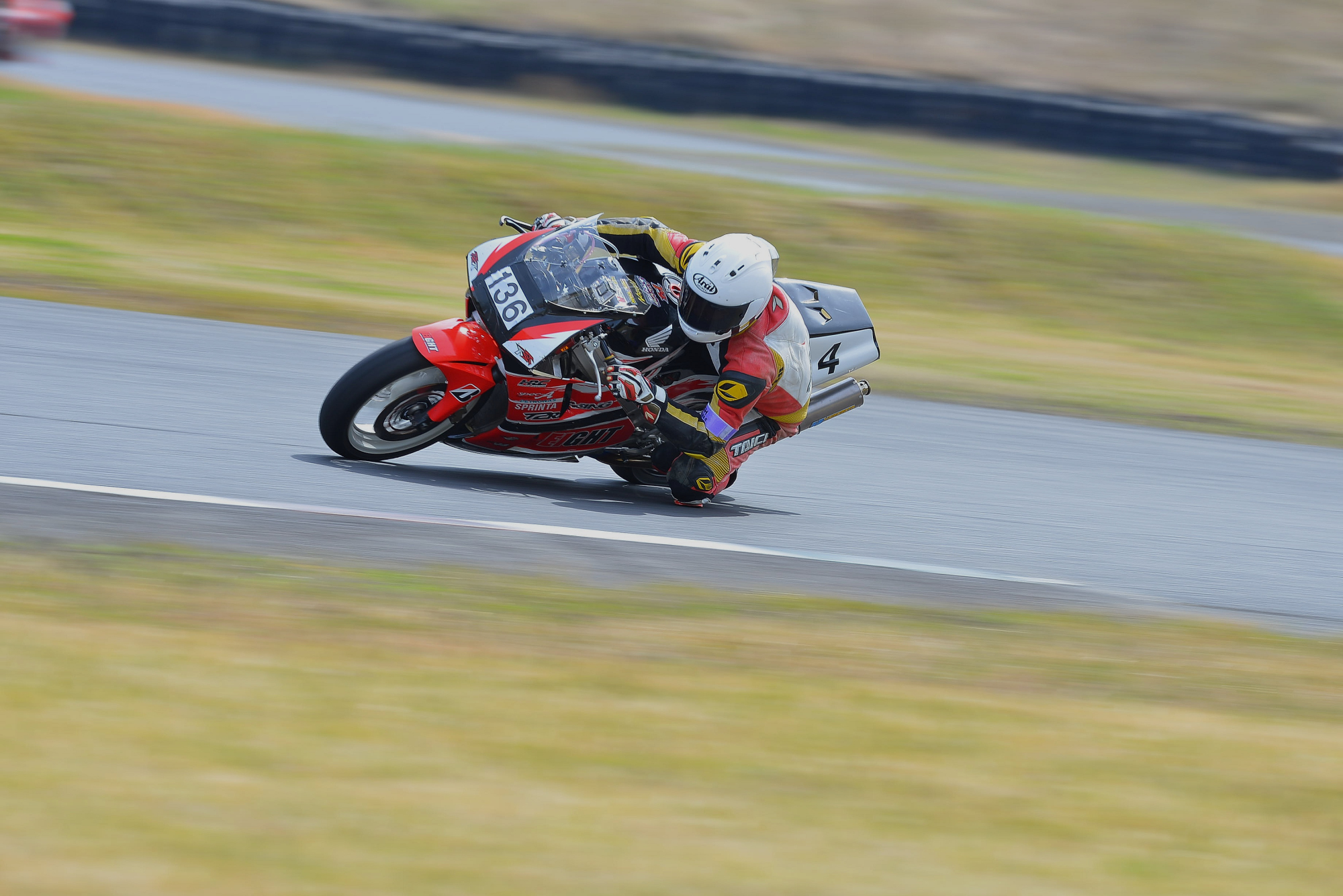 D8J_0240.JPG