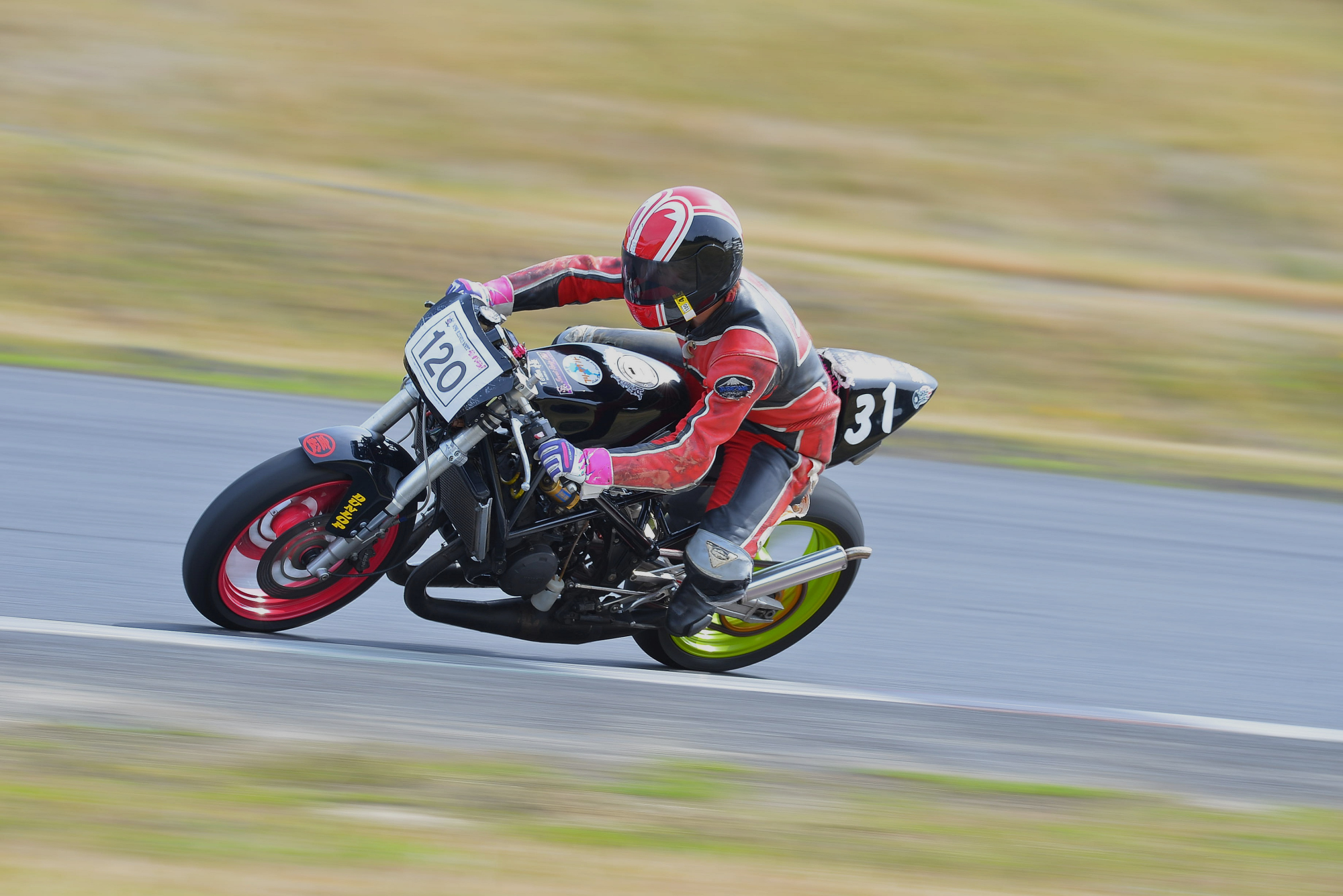 D8J_0250.JPG
