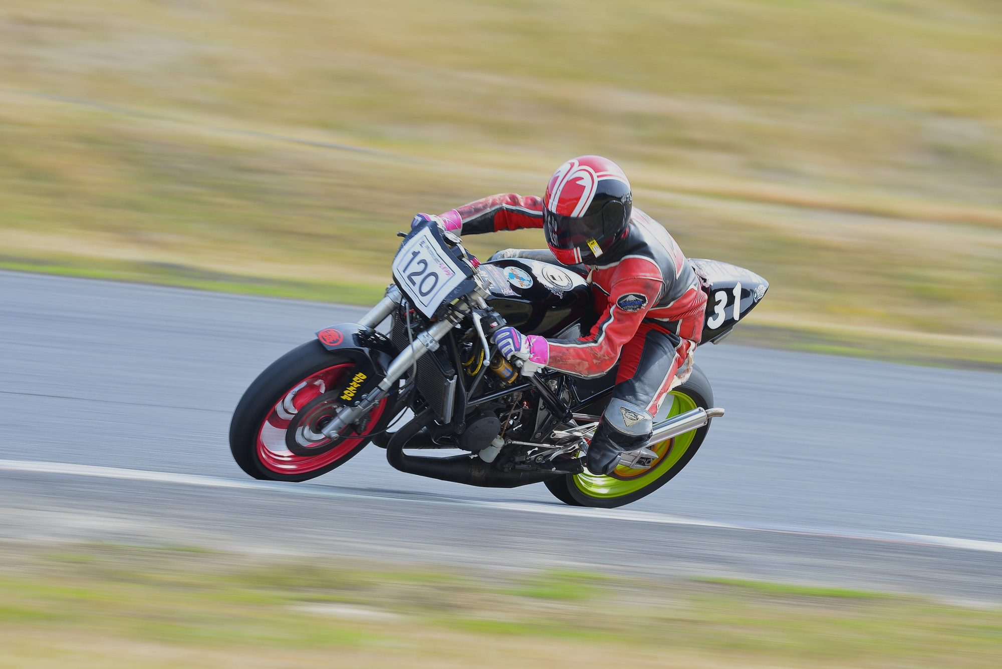 D8J_0285.JPG