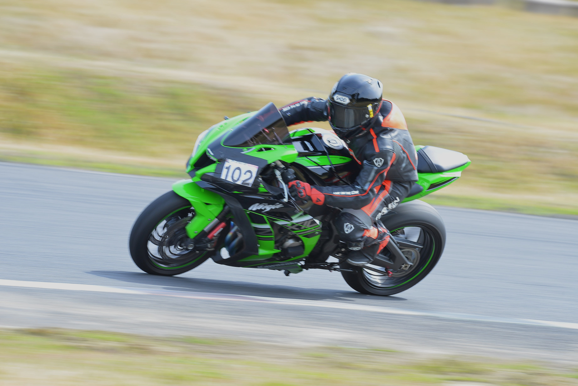 D8J_0291.JPG