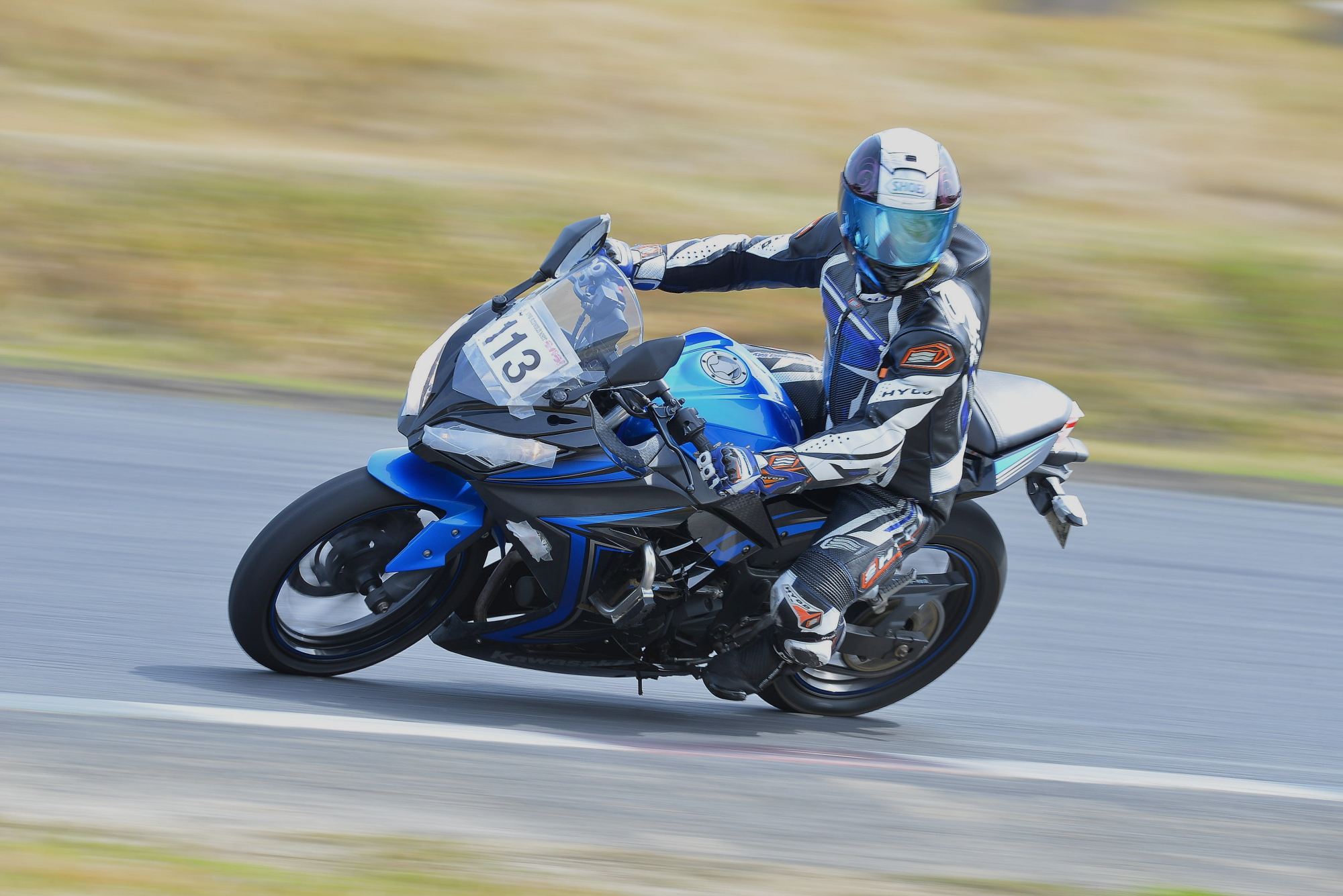 D8J_0296.JPG