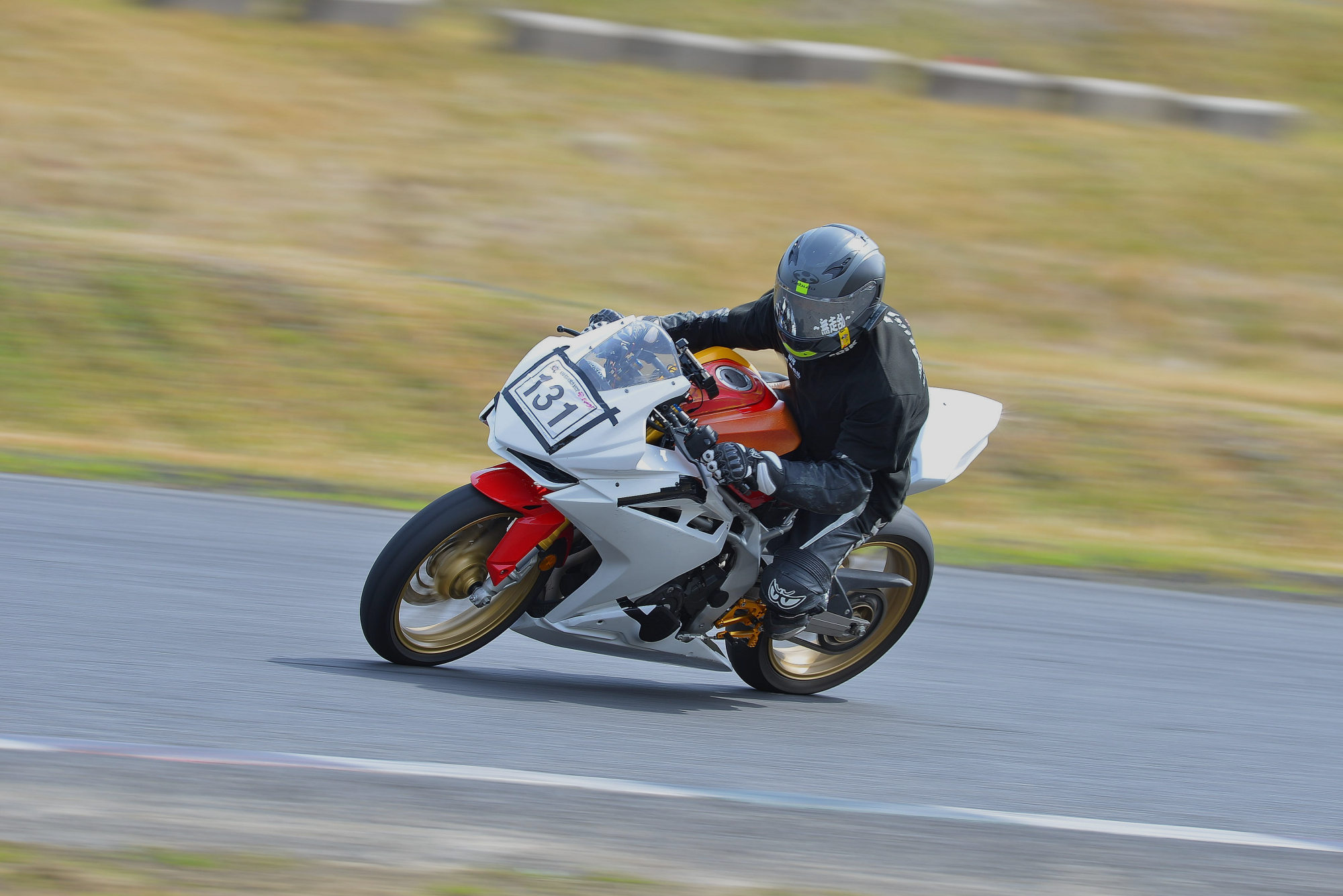 D8J_0303.JPG