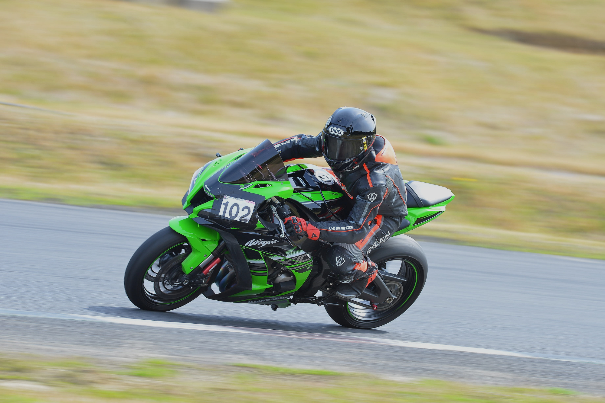 D8J_0330.JPG