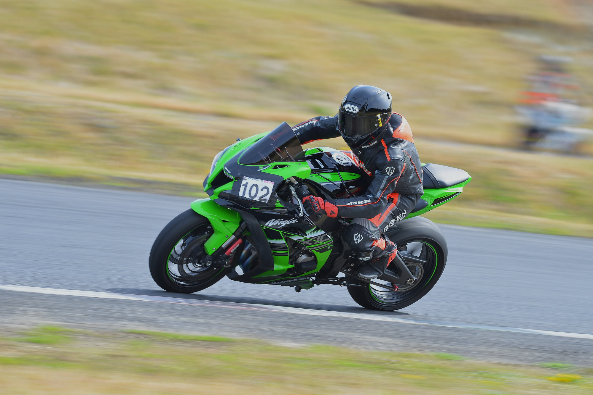 D8J_0368.JPG