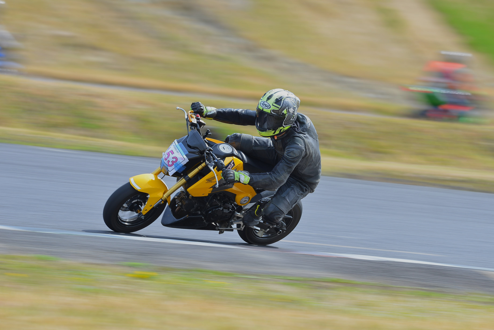 D8J_0379.JPG