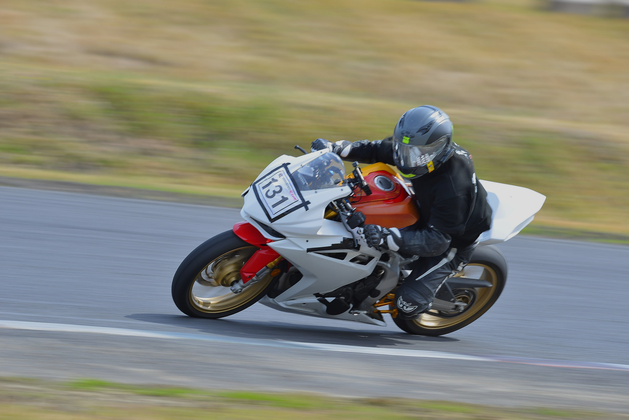 D8J_0381.JPG