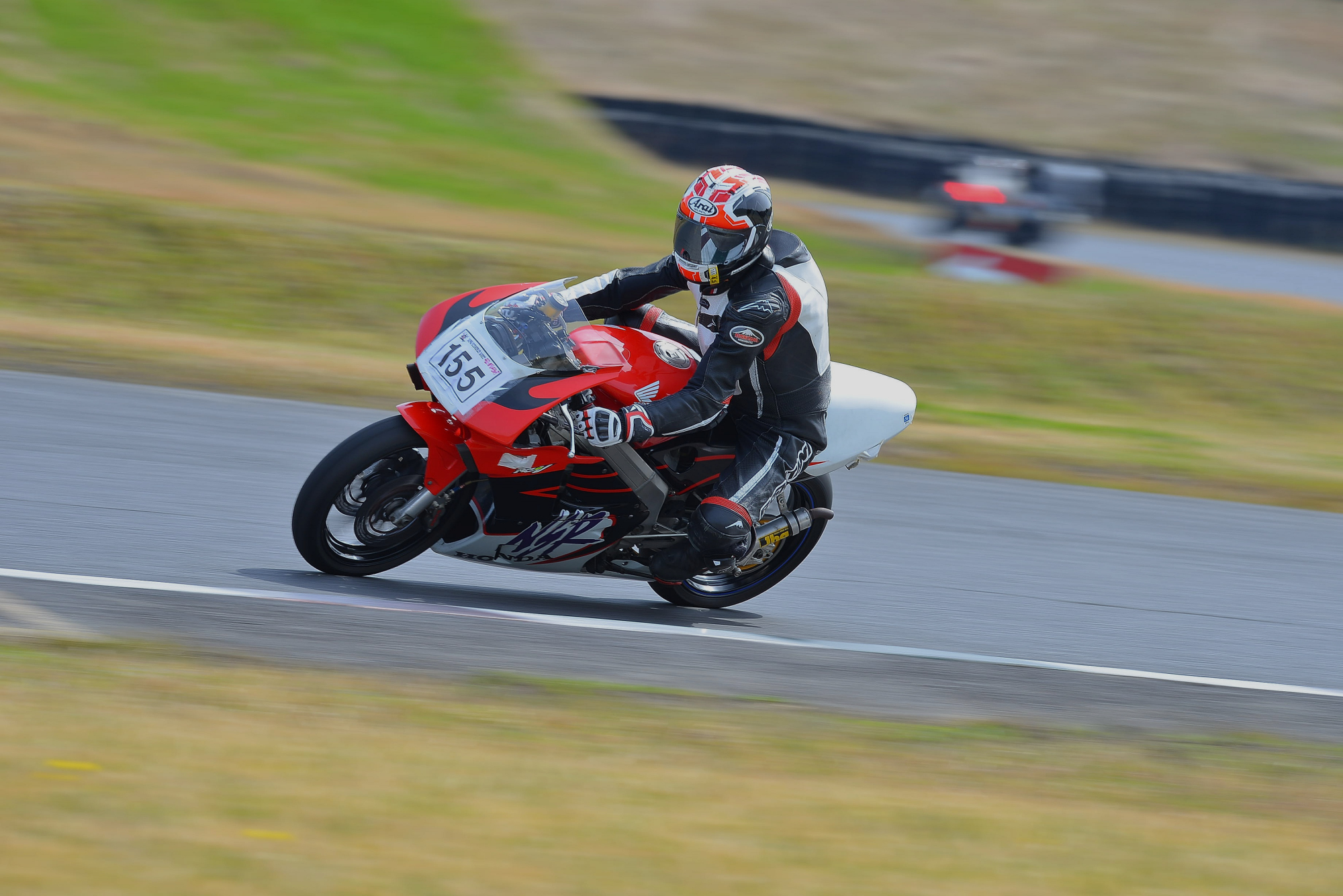 D8J_0387.JPG