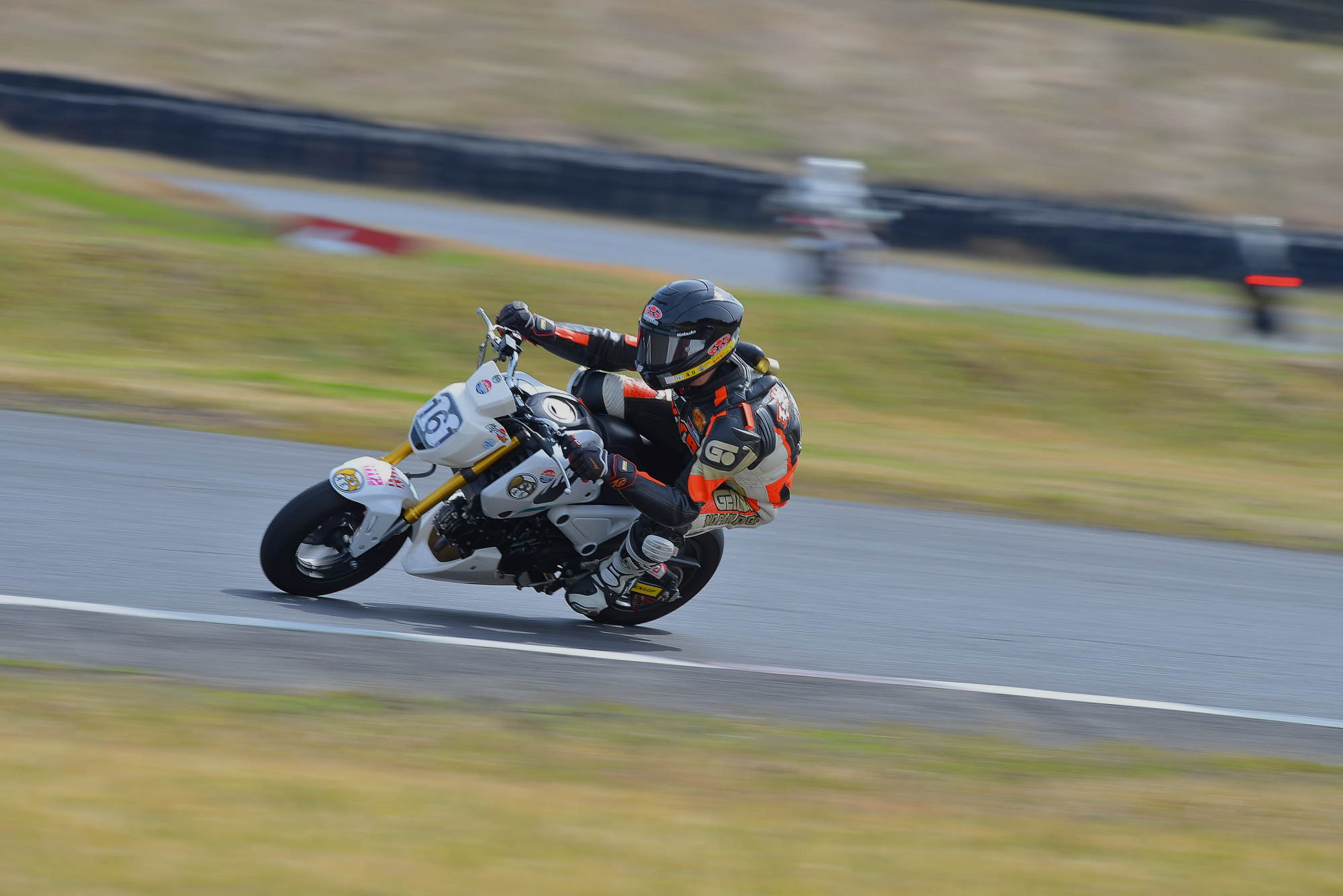 D8J_0395.JPG