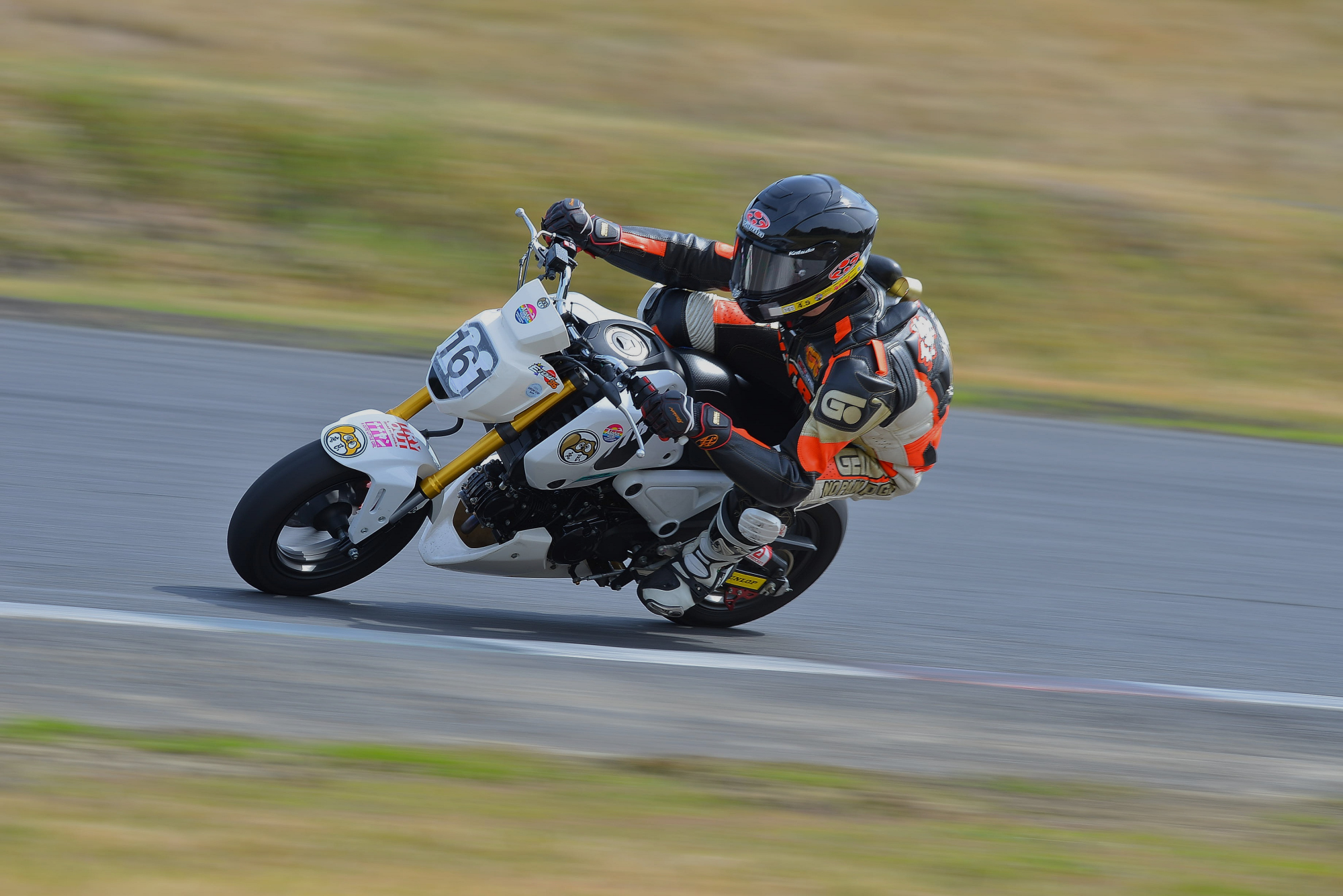 D8J_0396.JPG
