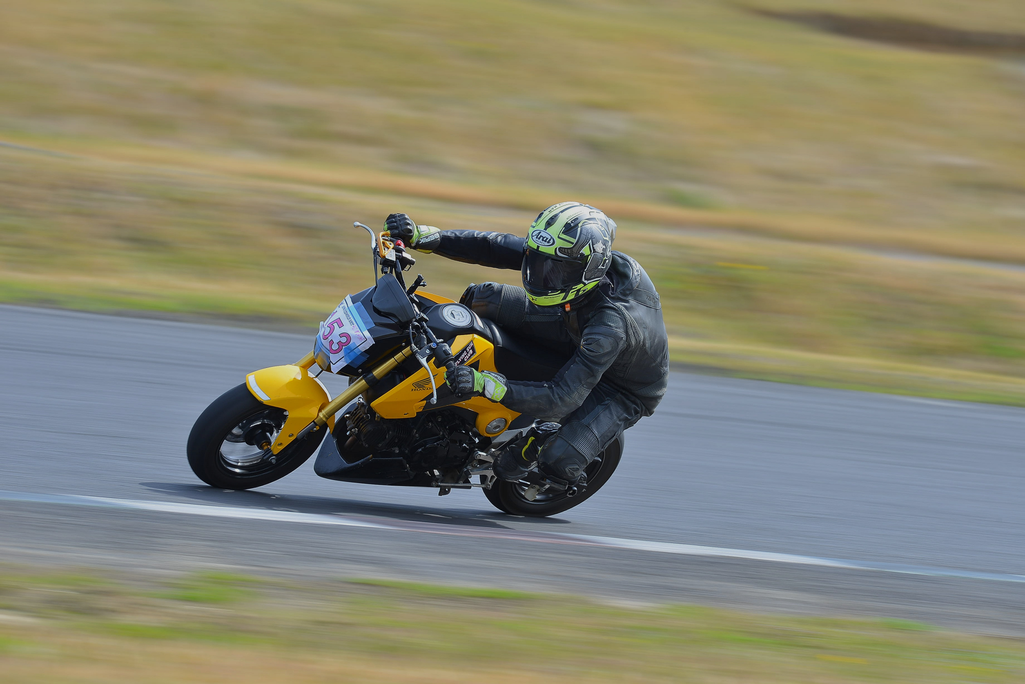 D8J_0401.JPG