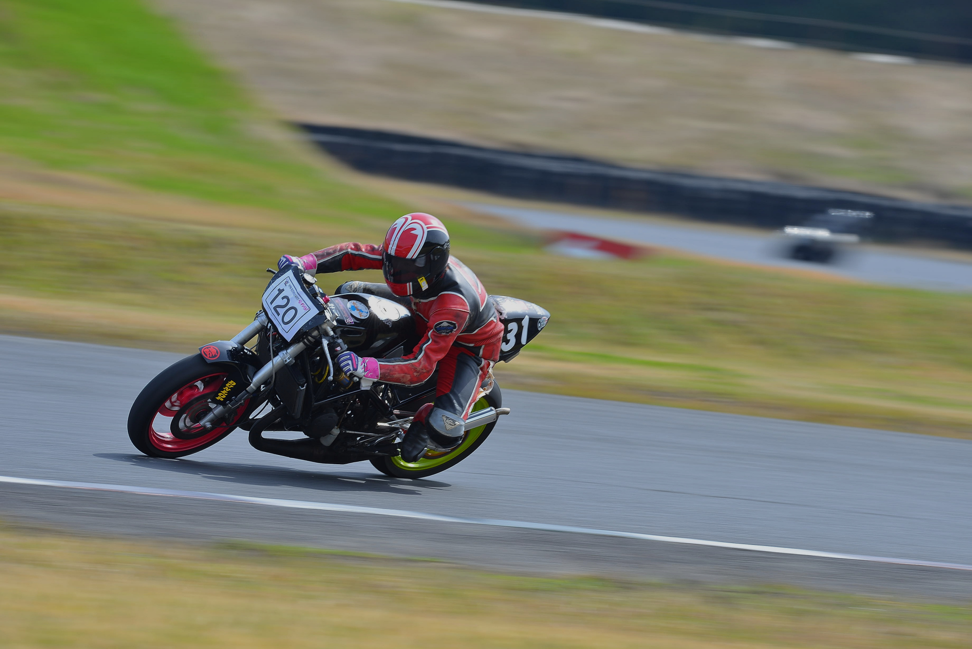 D8J_0406.JPG