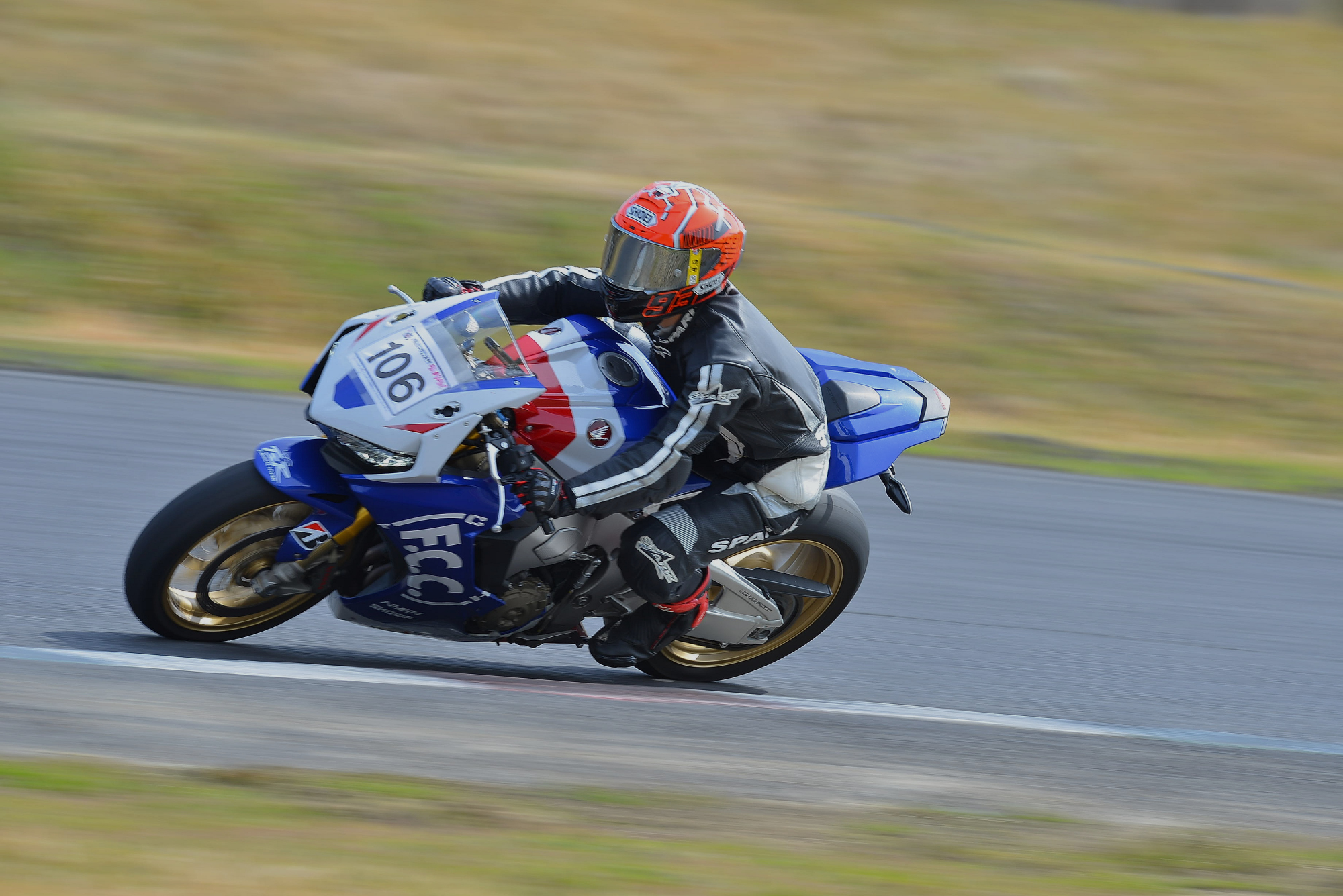 D8J_0407.JPG