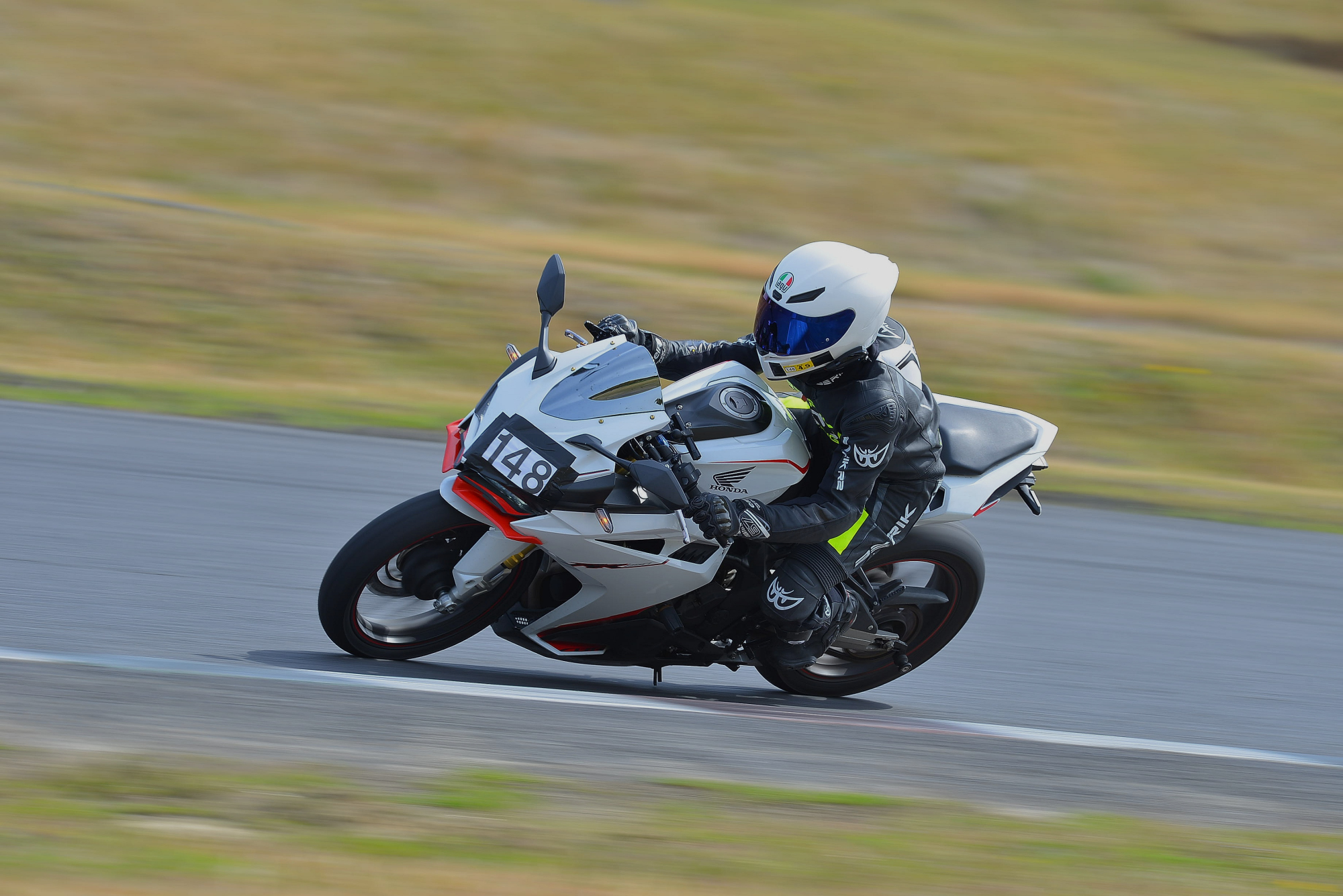 D8J_0410.JPG