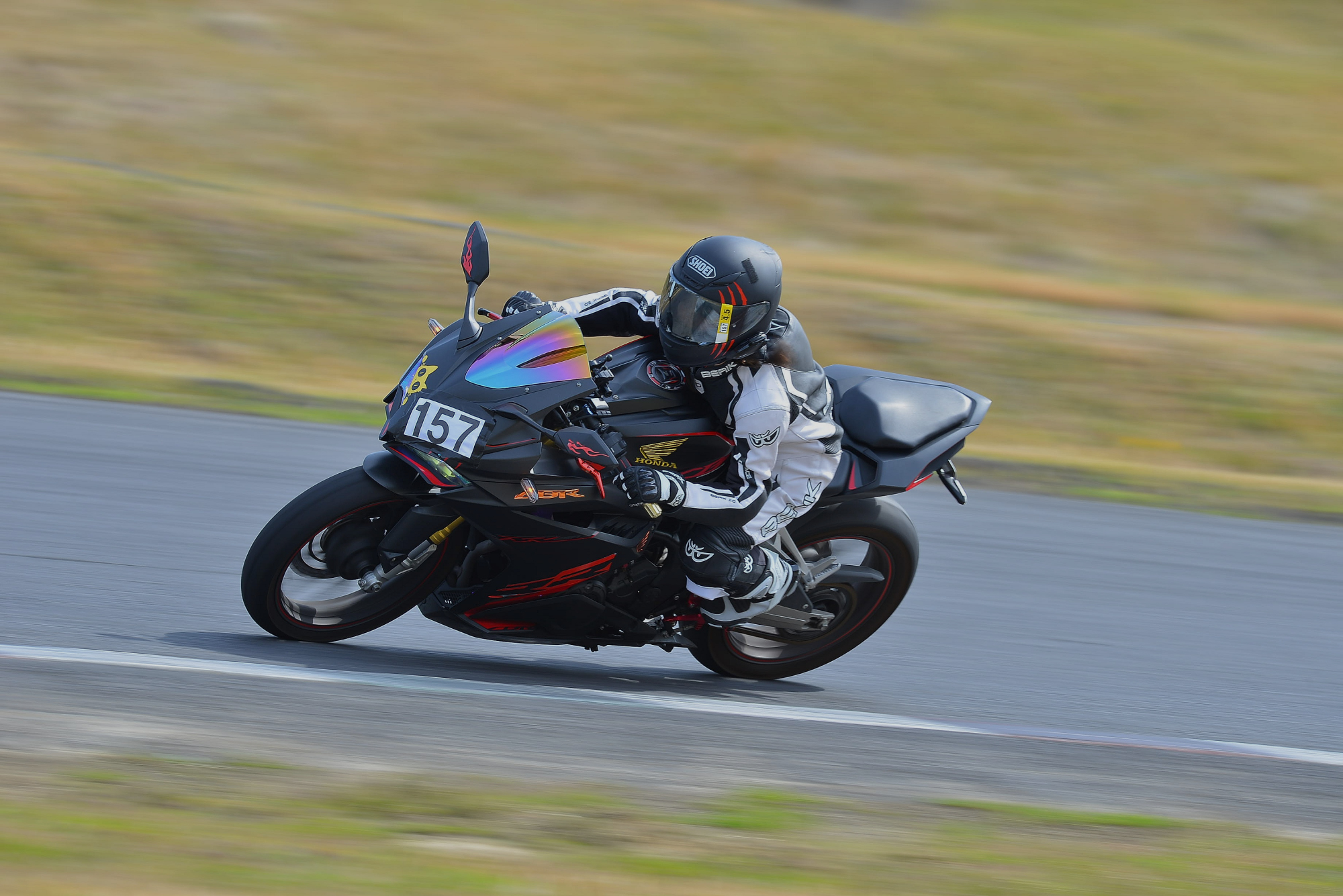 D8J_0412.JPG