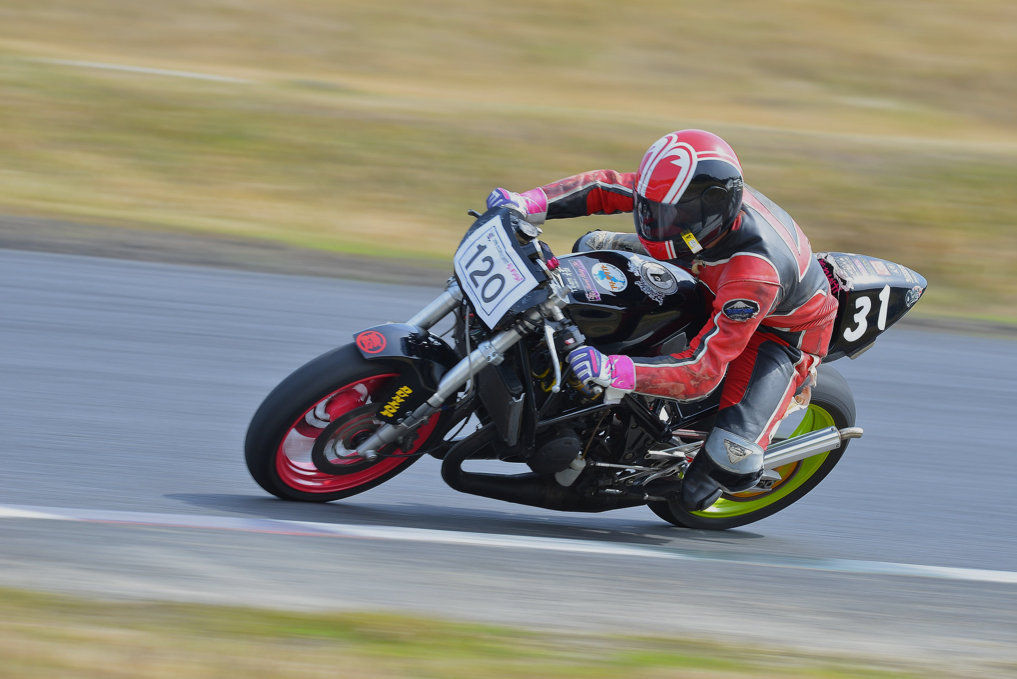 D8J_0421.JPG