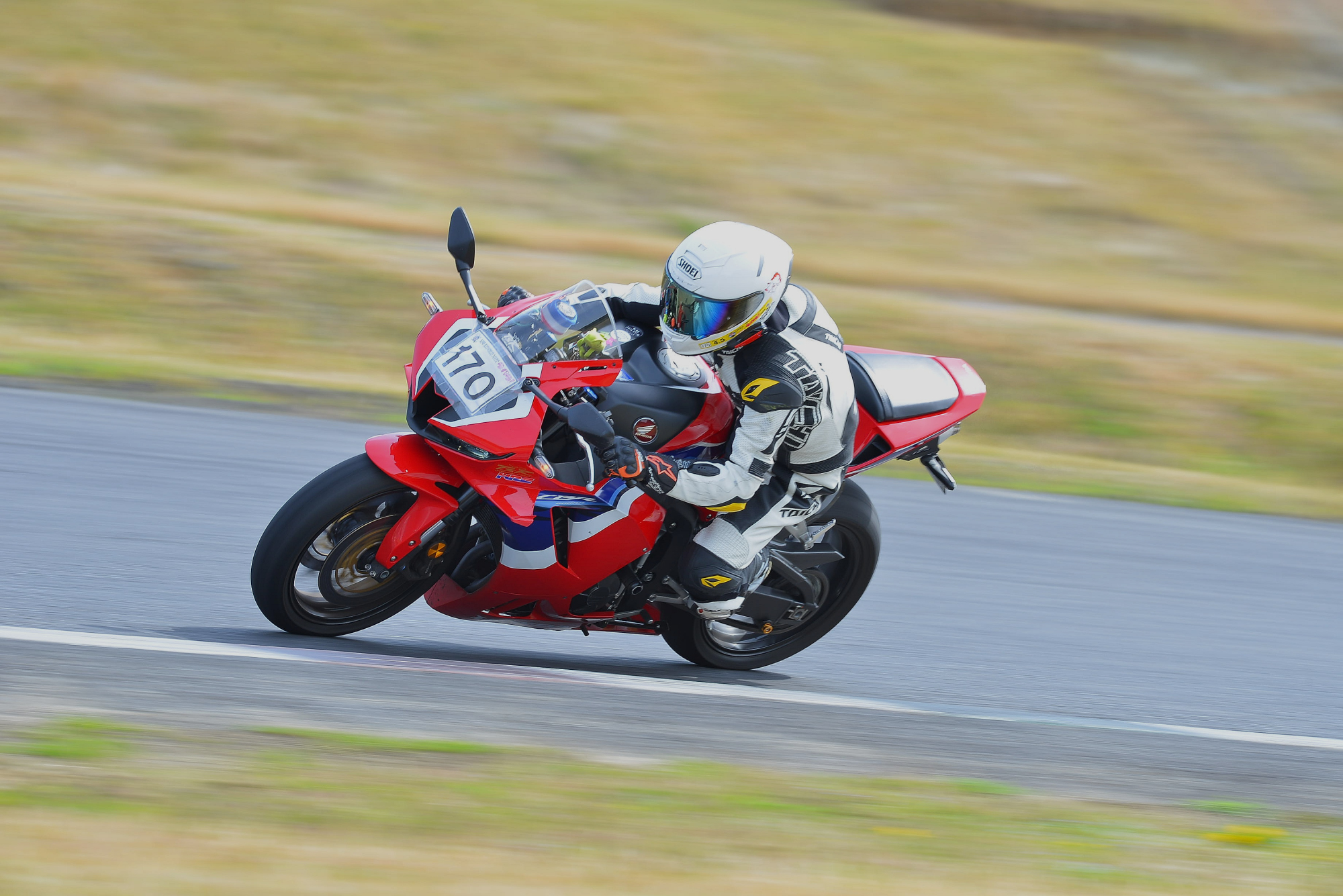 D8J_0424.JPG