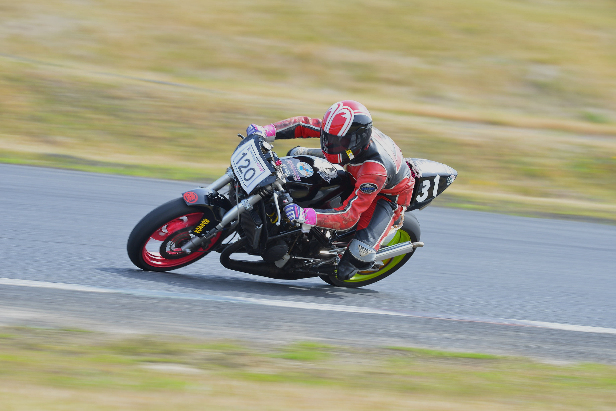 D8J_0445.JPG