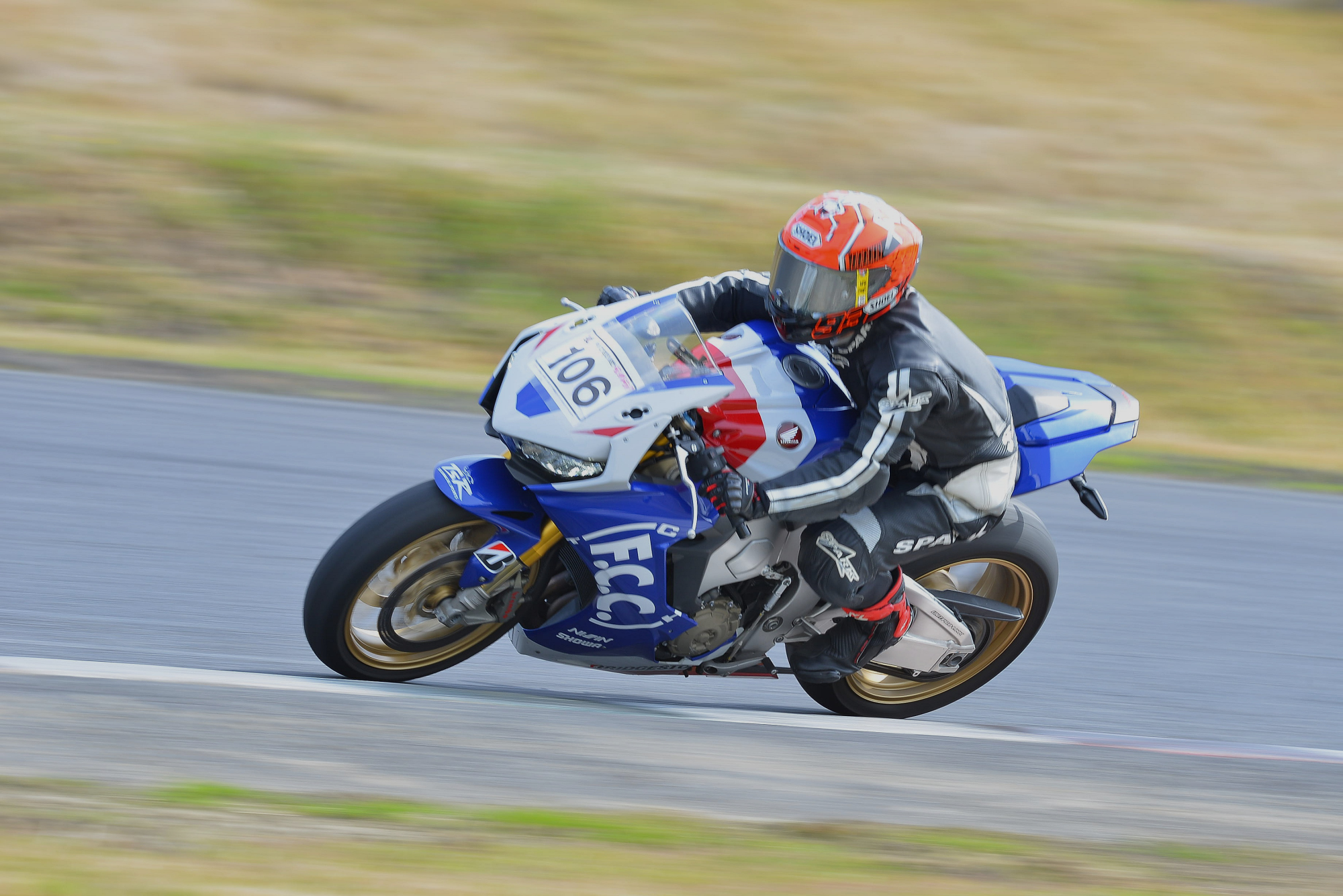 D8J_0458.JPG