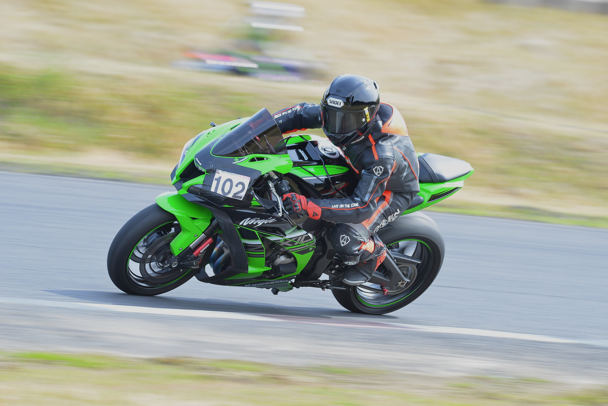 D8J_0469.JPG
