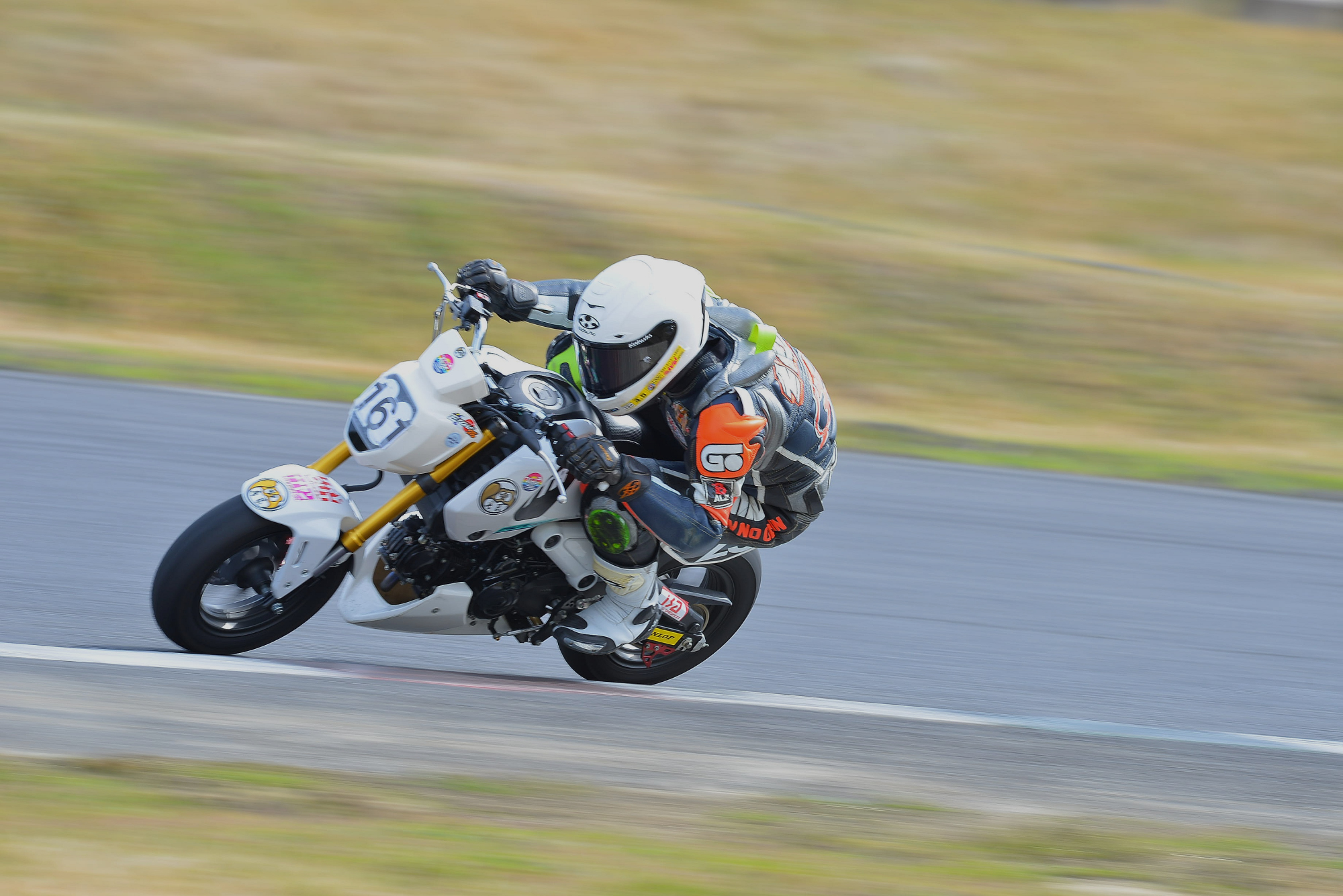 D8J_0472.JPG