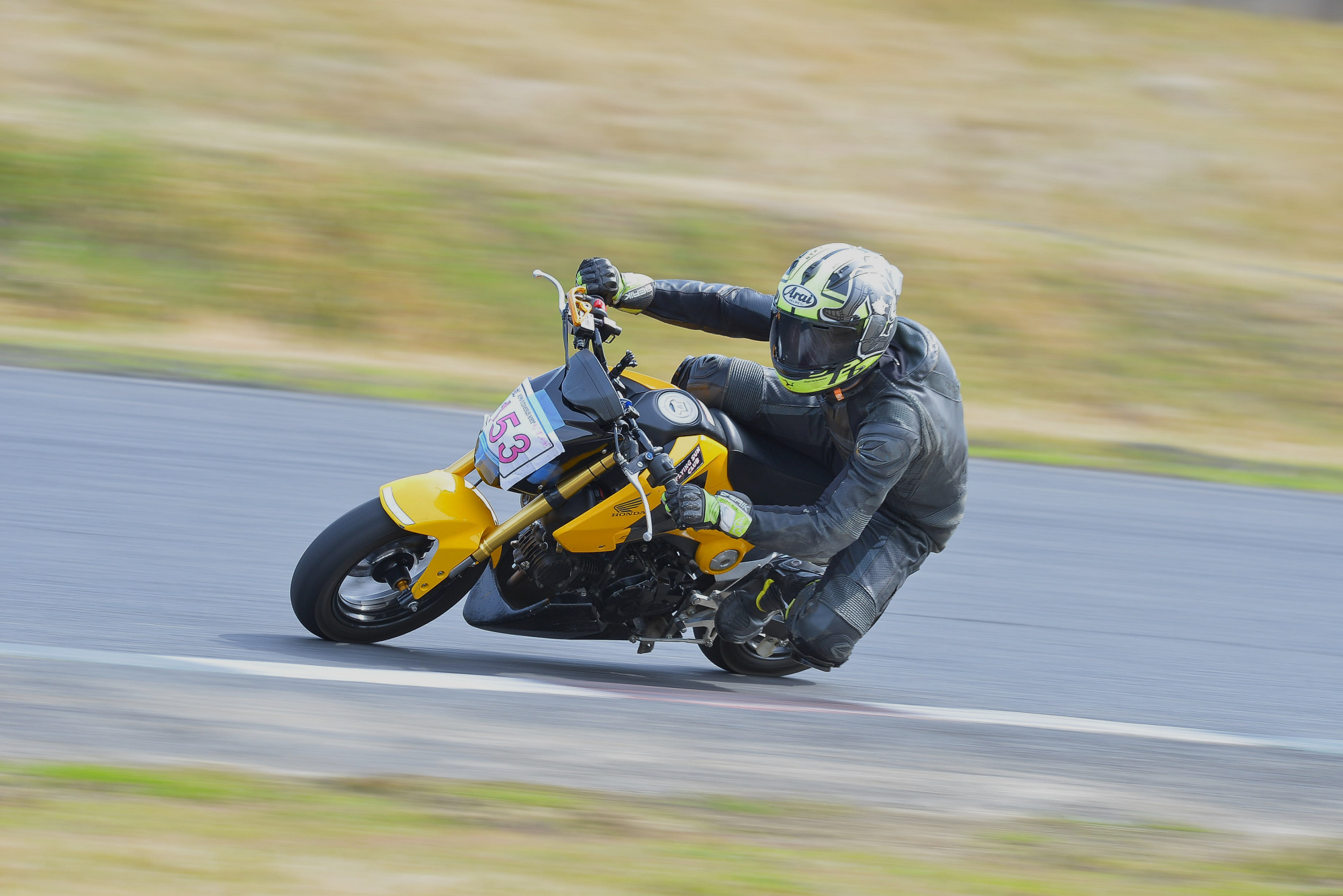 D8J_0480.JPG