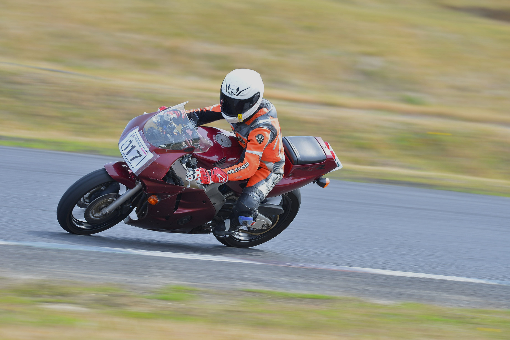 D8J_0483.JPG