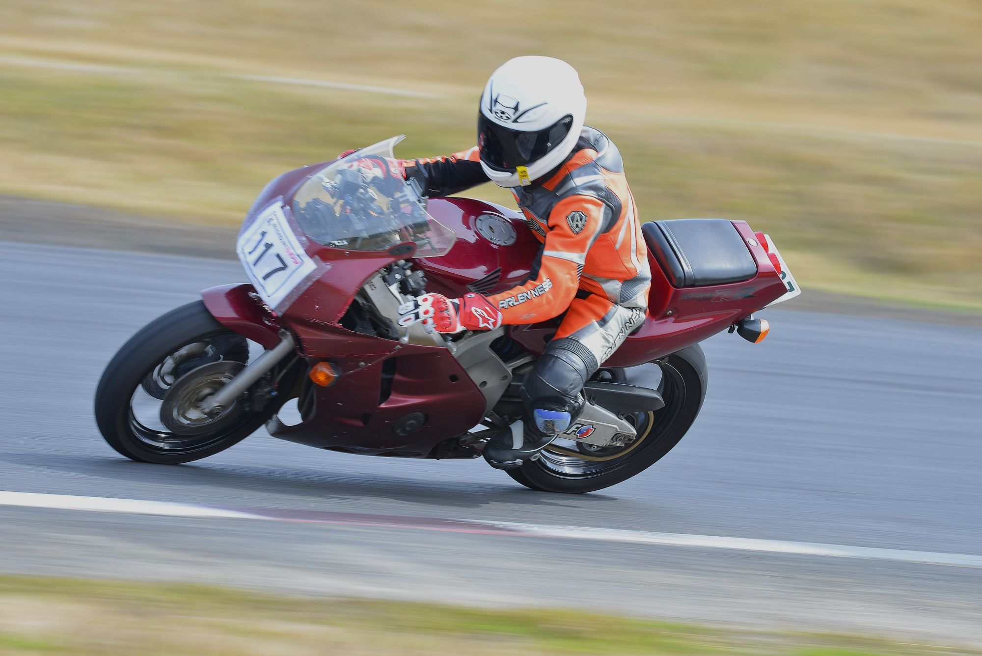 D8J_0484.JPG