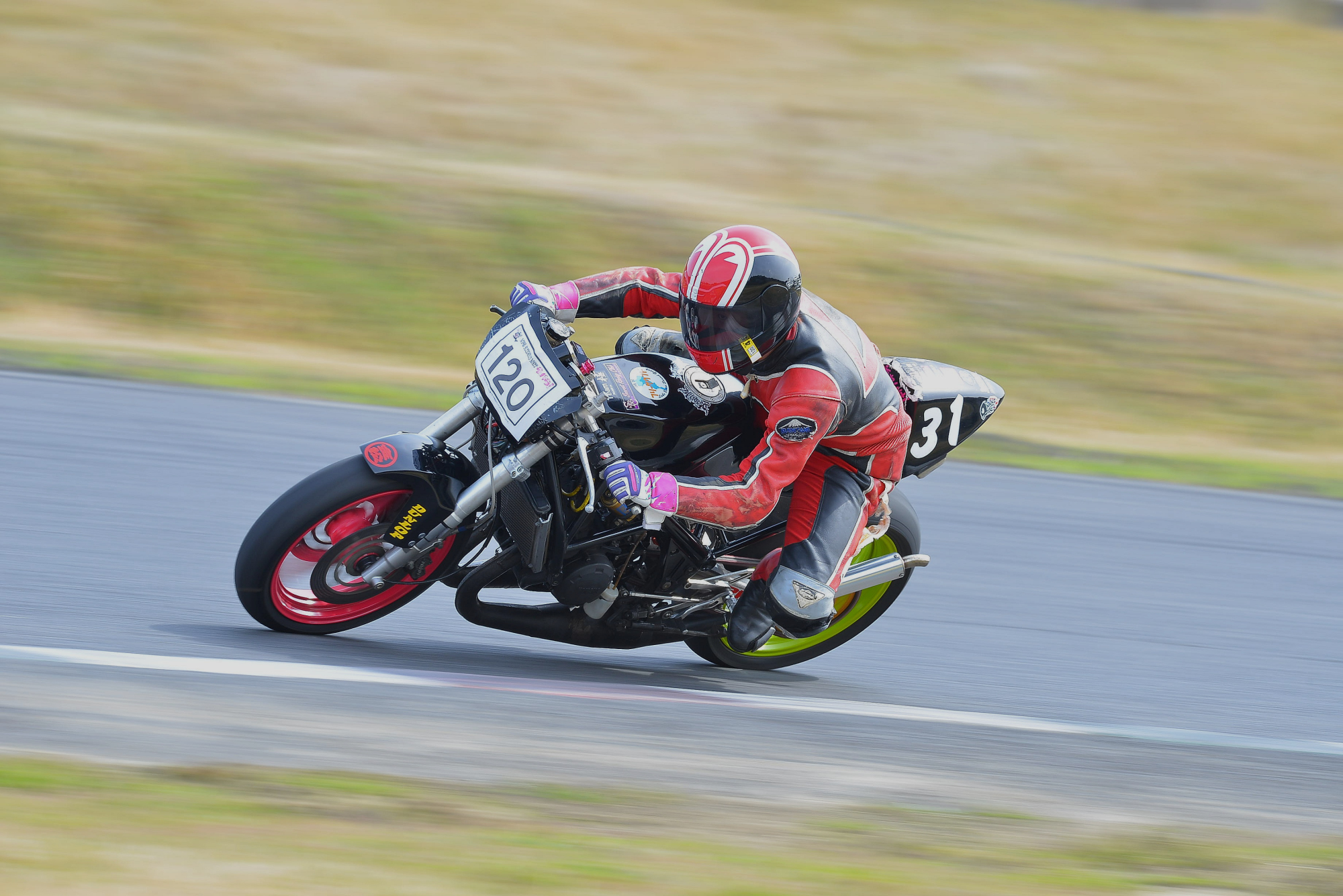 D8J_0487.JPG