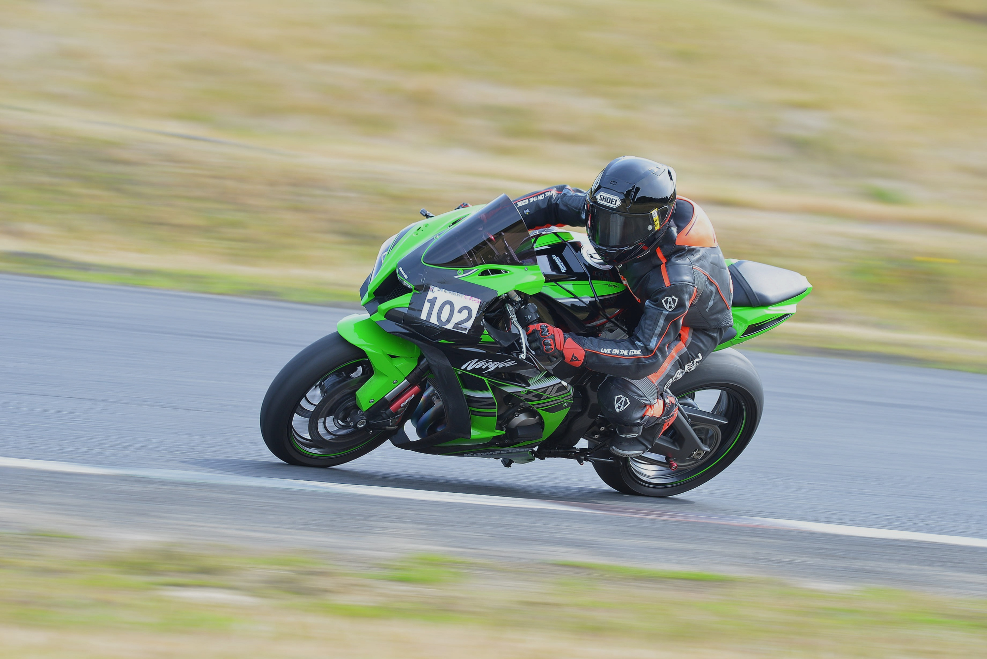D8J_0489.JPG