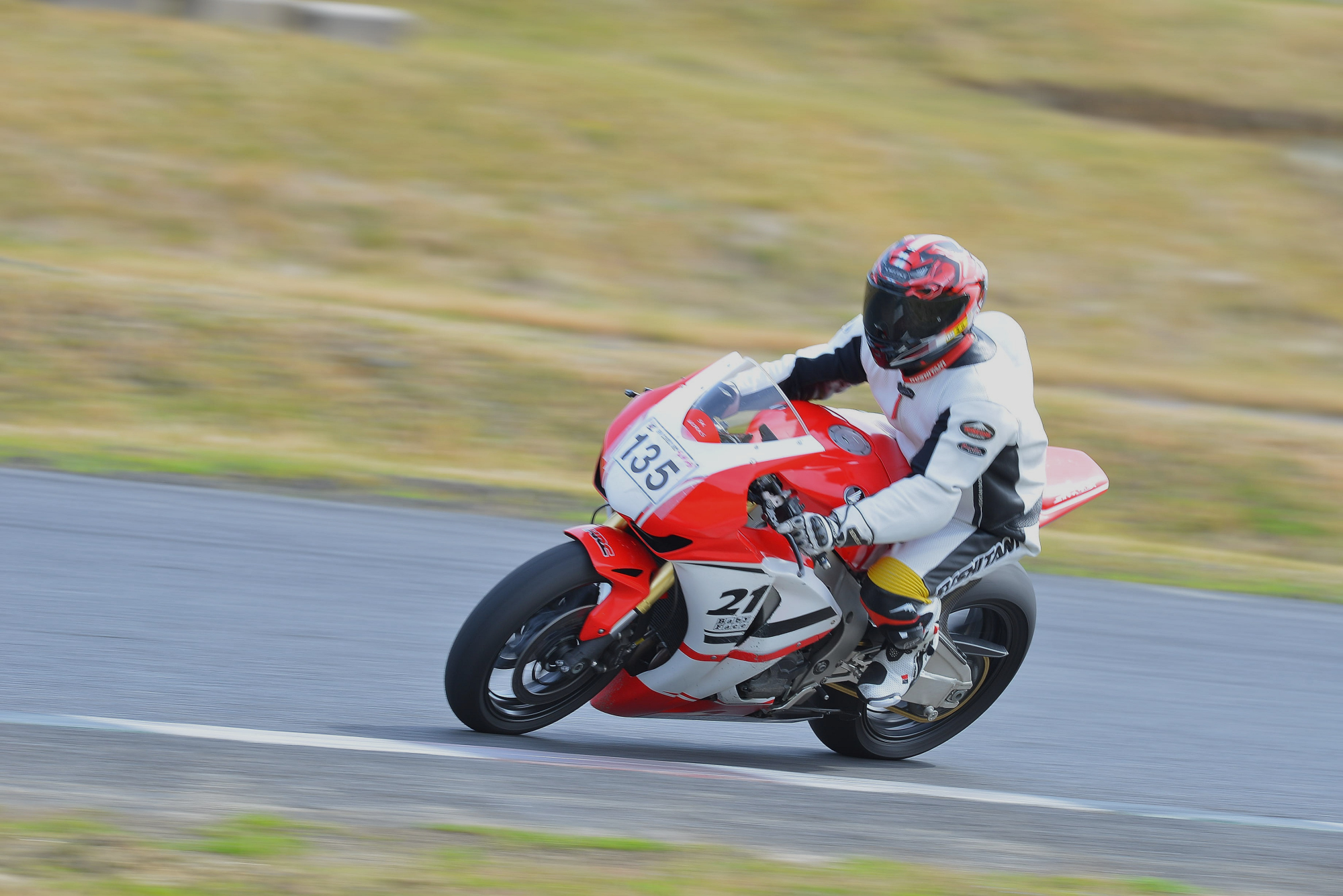 D8J_0500.JPG