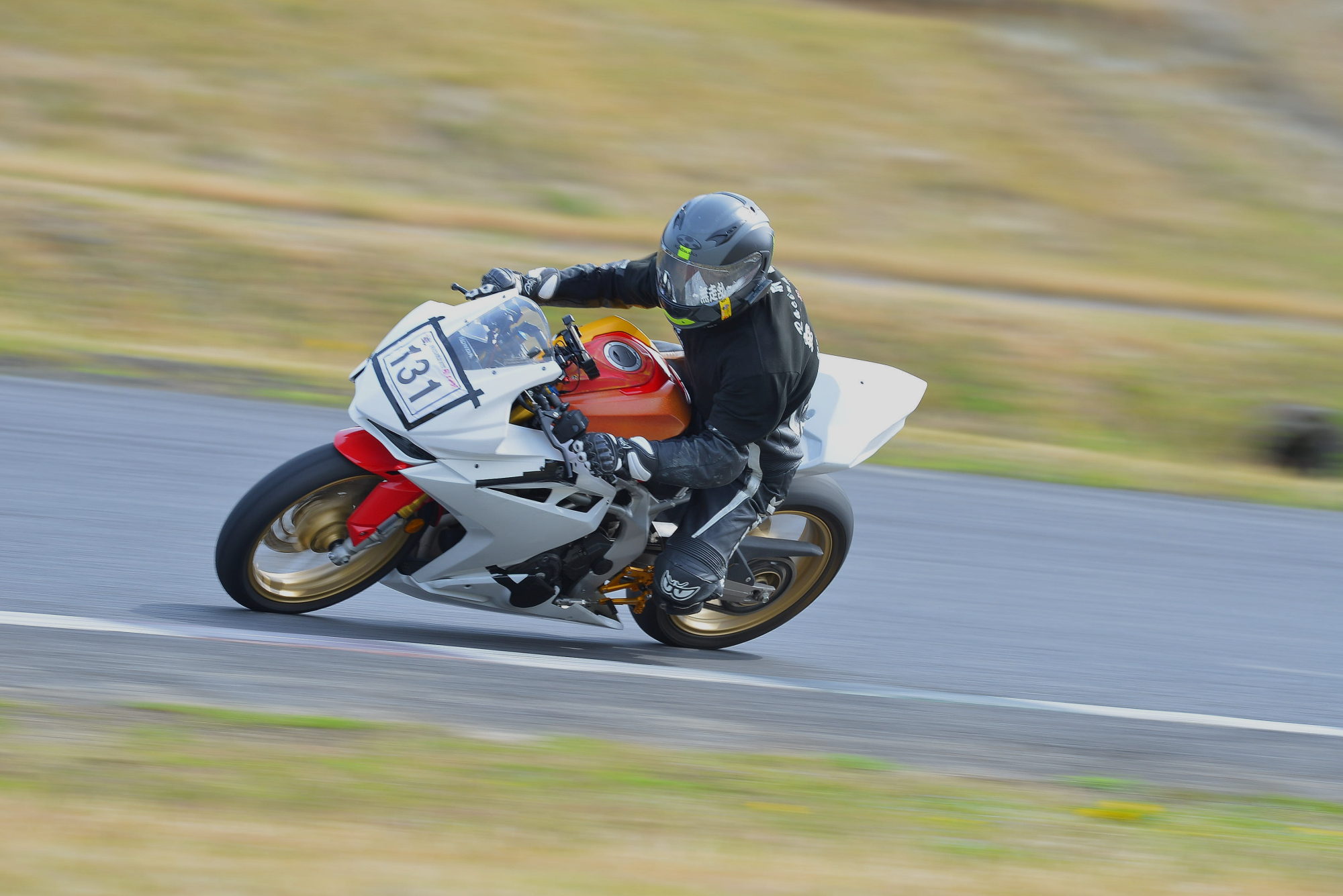 D8J_0504.JPG