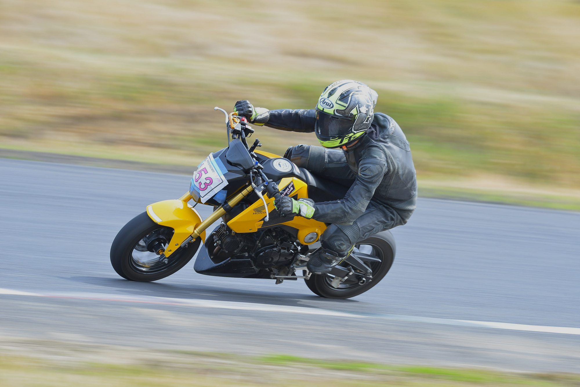 D8J_0505.JPG